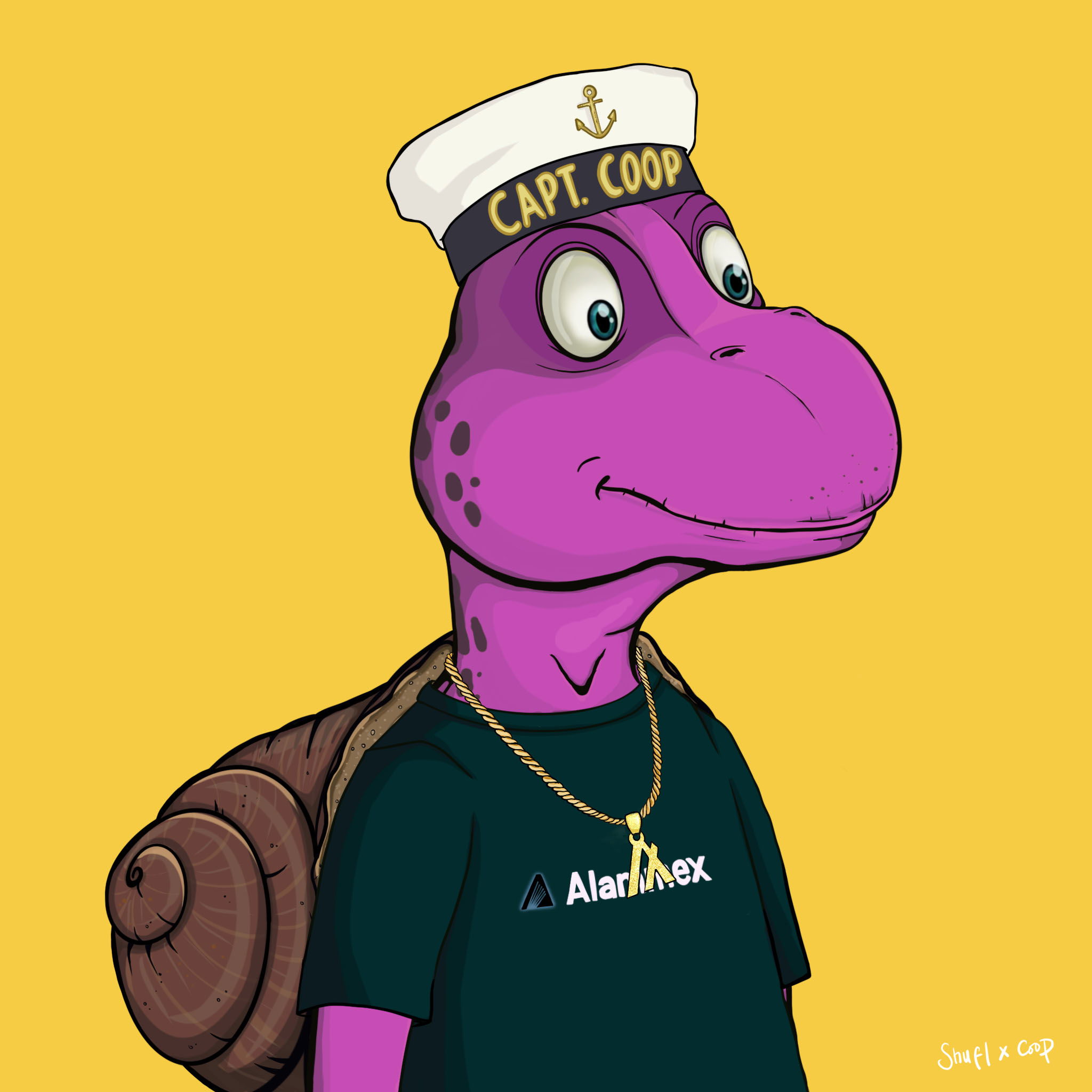 Coopa Troopa #1670 NFT on Algorand