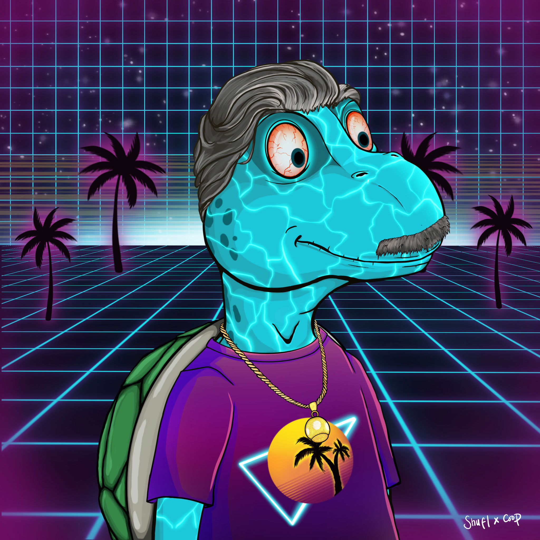 Coopa Troopa #1676 NFT on Algorand