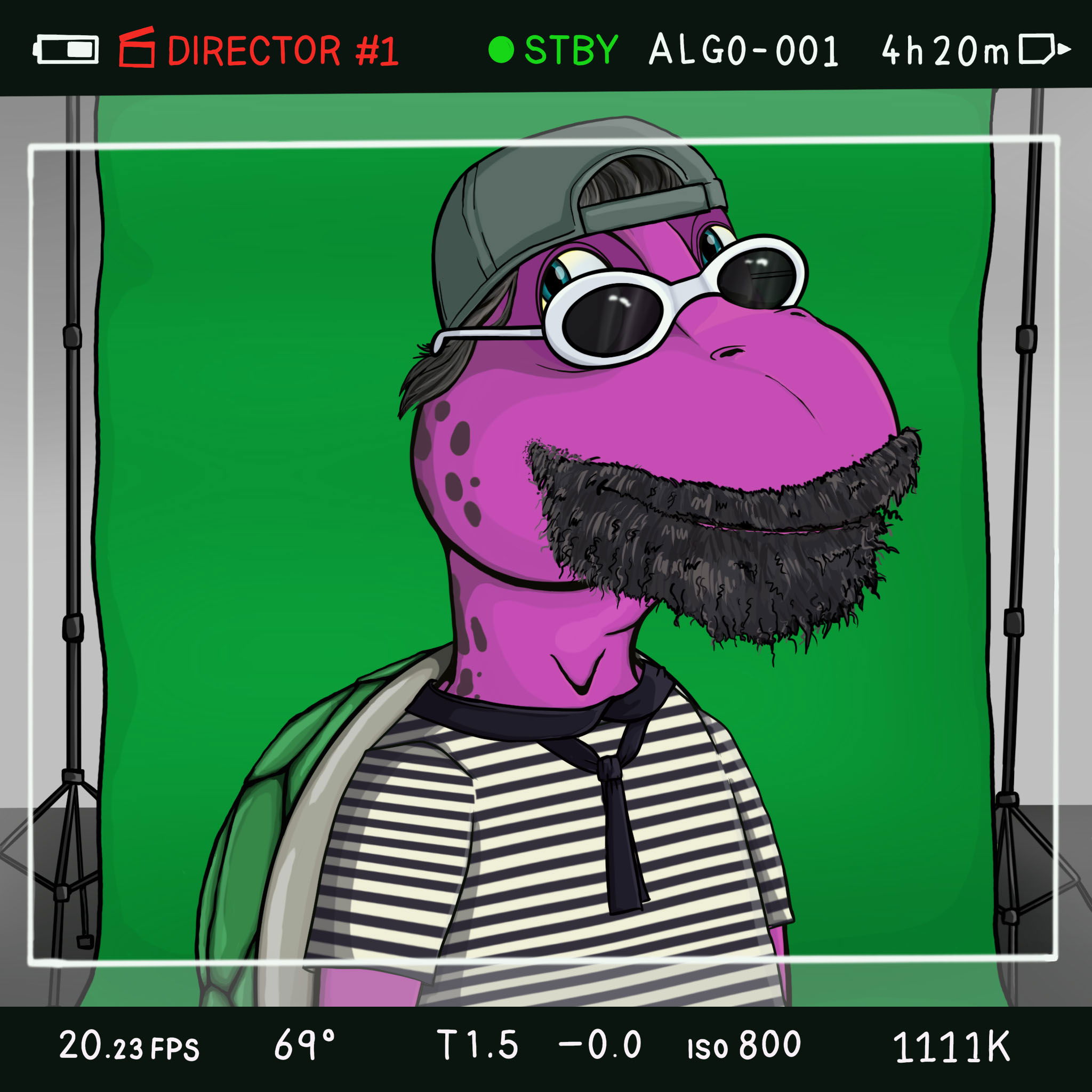 Coopa Troopa #1683 NFT on Algorand