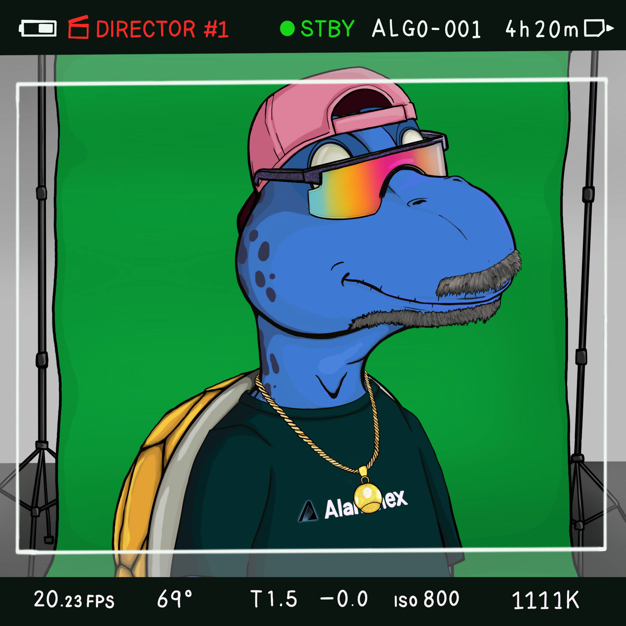 Coopa Troopa #1684 NFT on Algorand