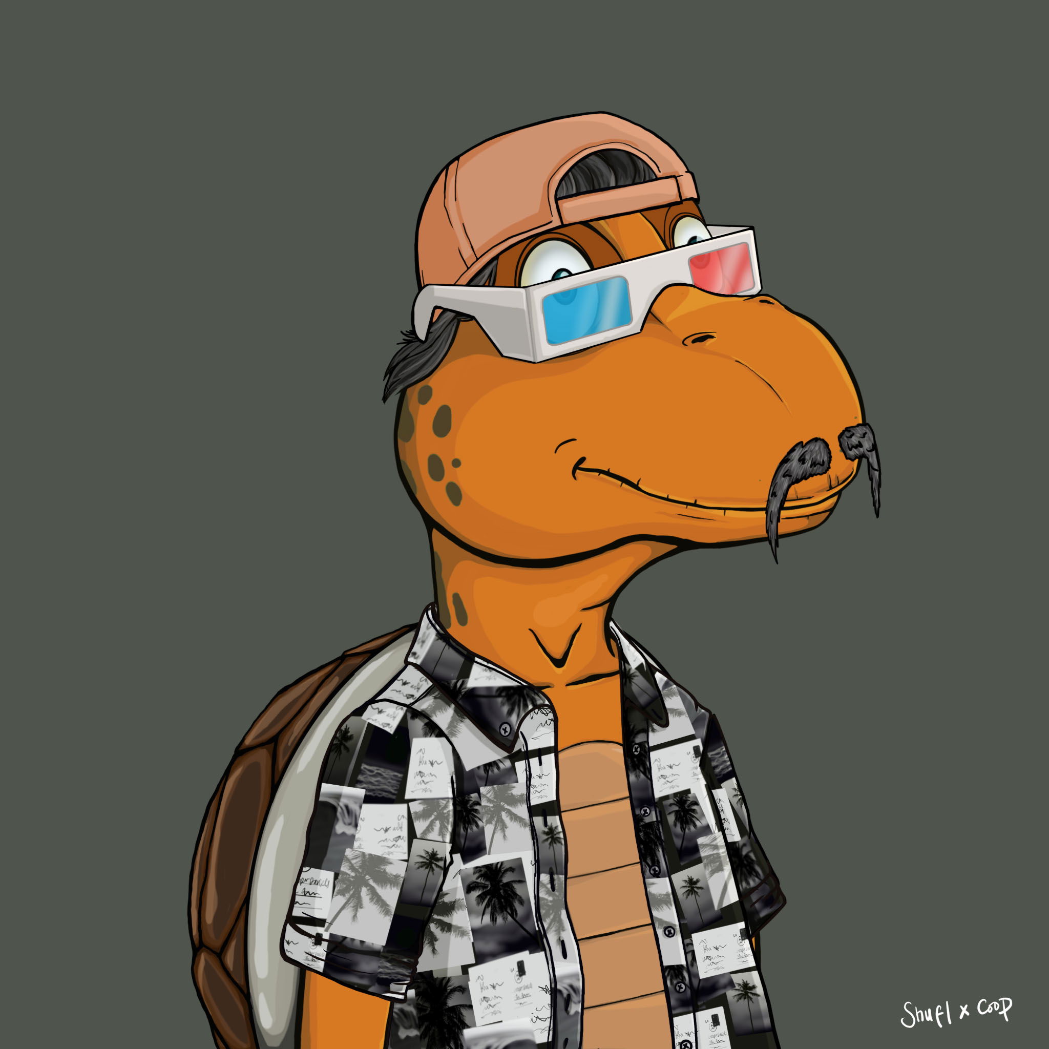 Coopa Troopa #1689 NFT on Algorand