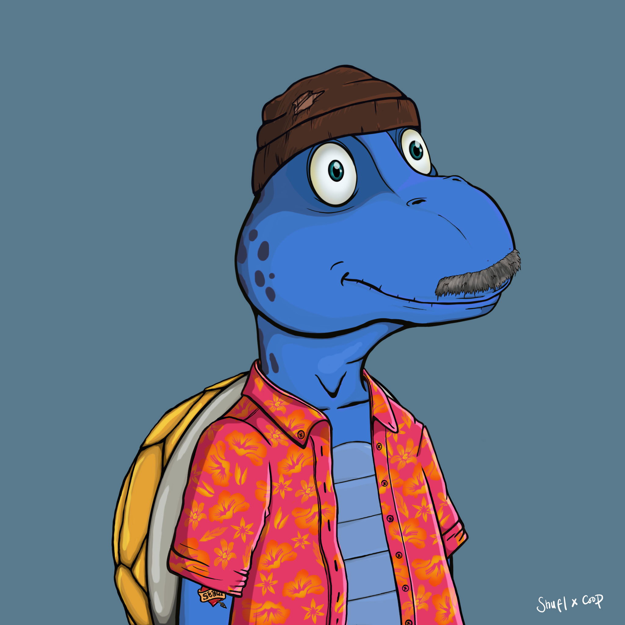 Coopa Troopa #1694 NFT on Algorand