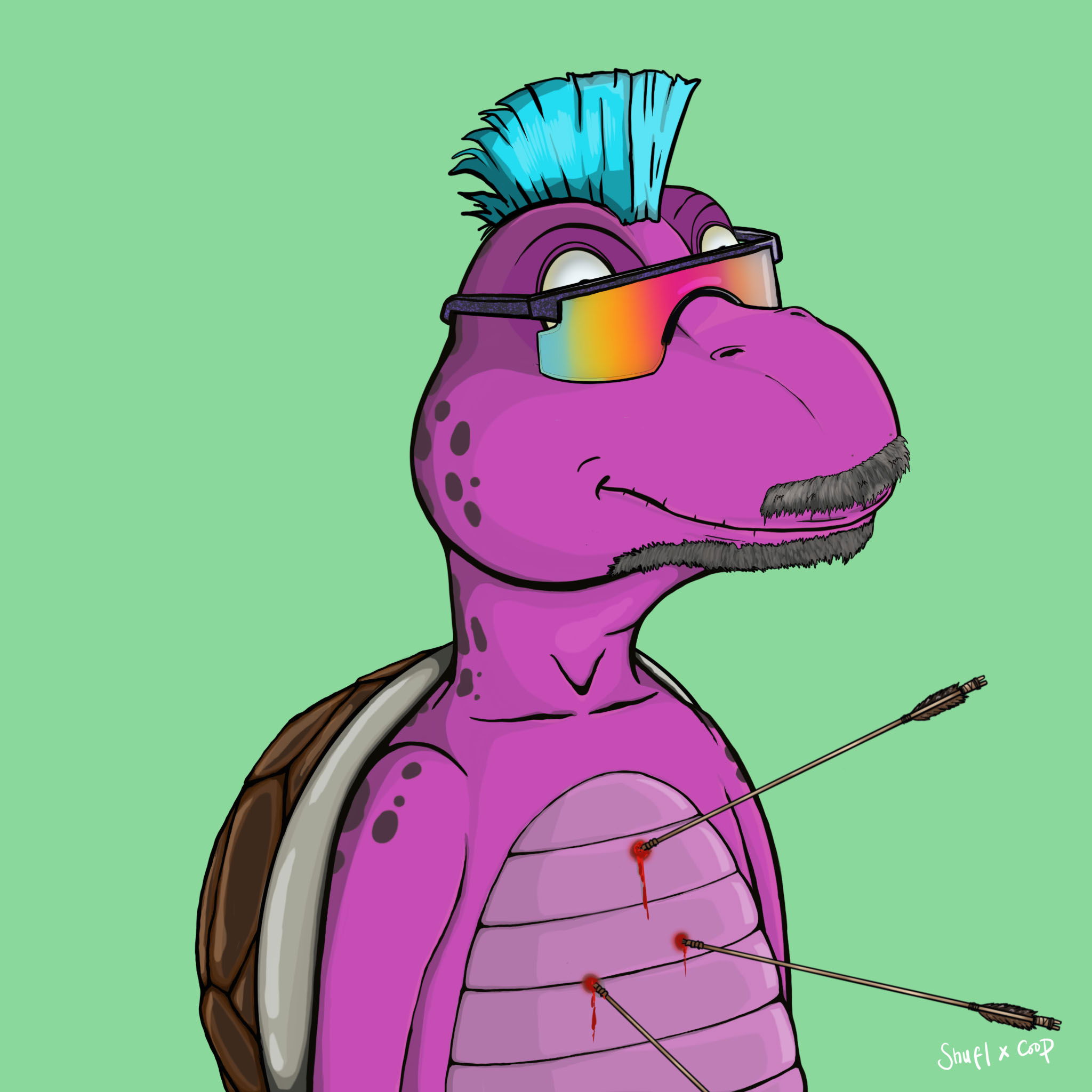 Coopa Troopa #1715 NFT on Algorand