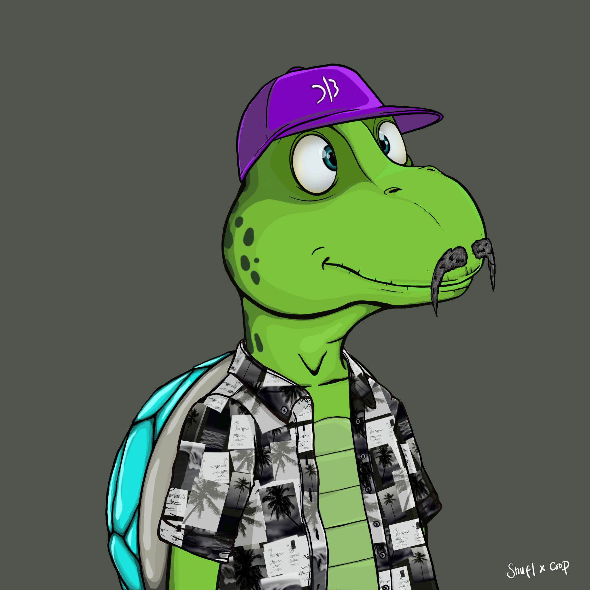 Coopa Troopa #1718 NFT on Algorand