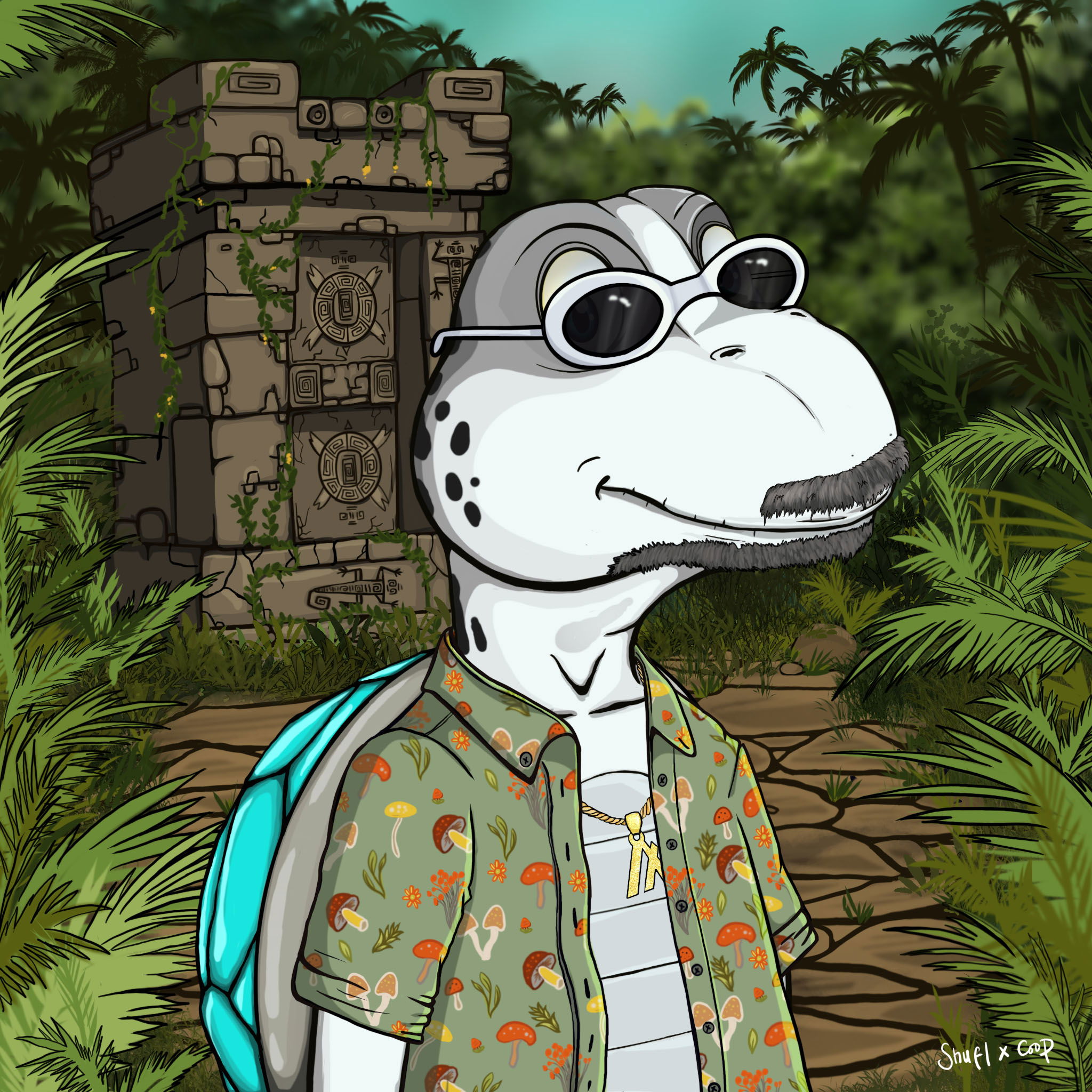 Coopa Troopa #1723 NFT on Algorand