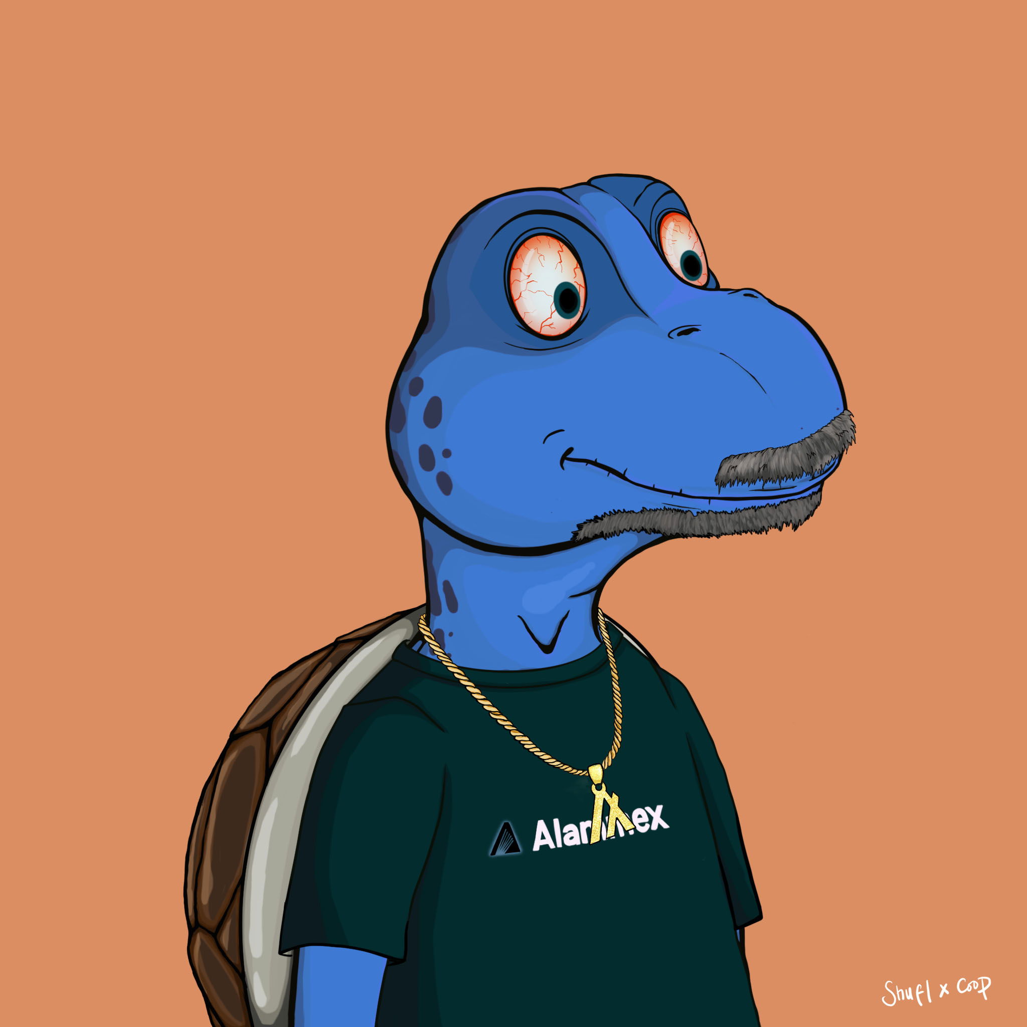 Coopa Troopa #1730 NFT on Algorand