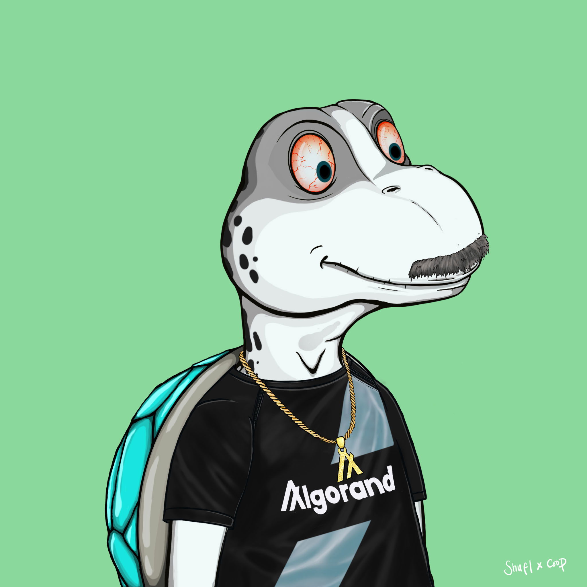 Coopa Troopa #1742 NFT on Algorand