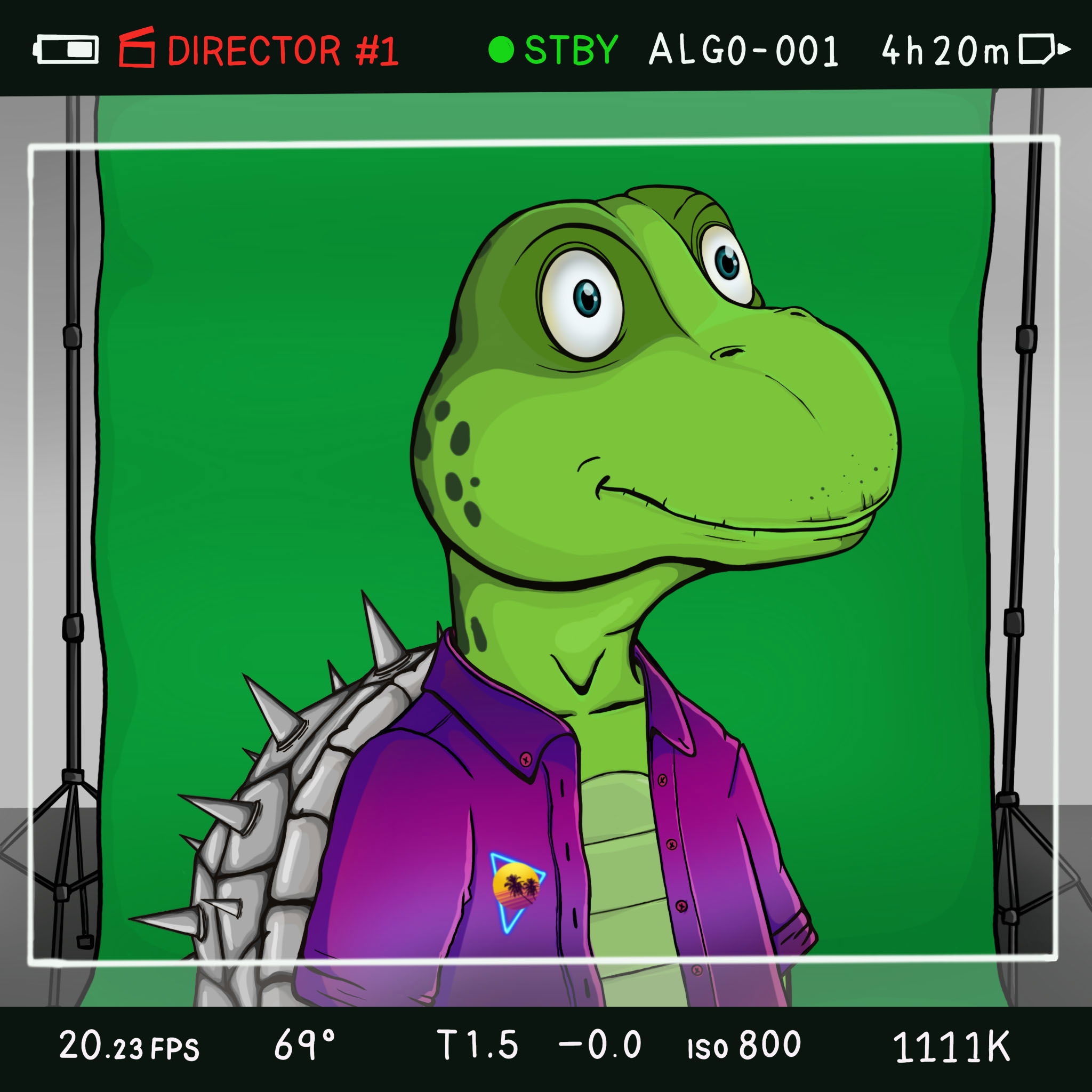 Coopa Troopa #1743 NFT on Algorand