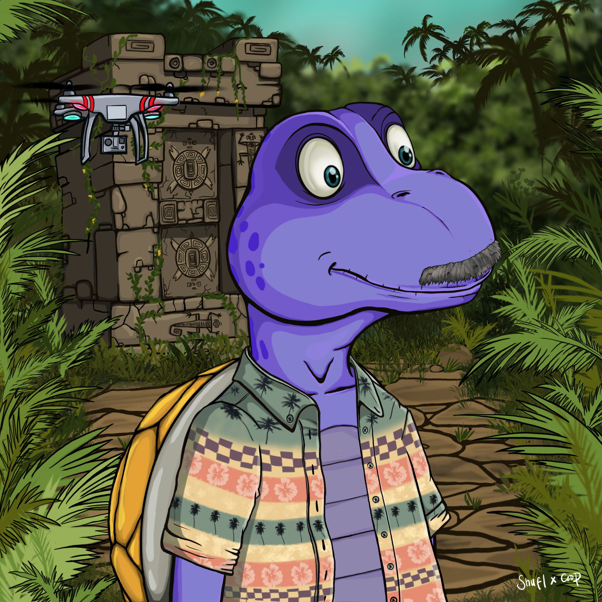 Coopa Troopa #1748 NFT on Algorand