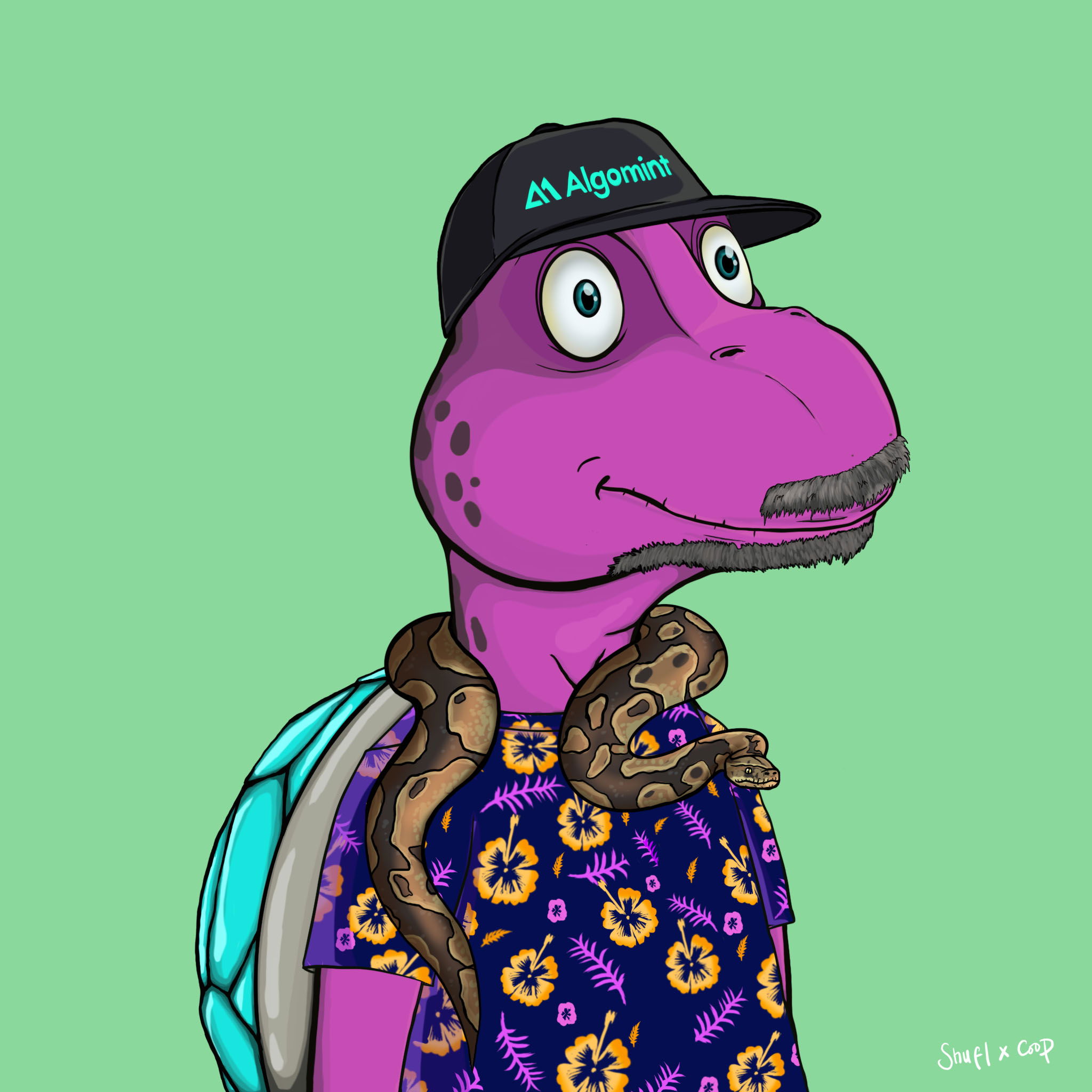 Coopa Troopa #1756 NFT on Algorand