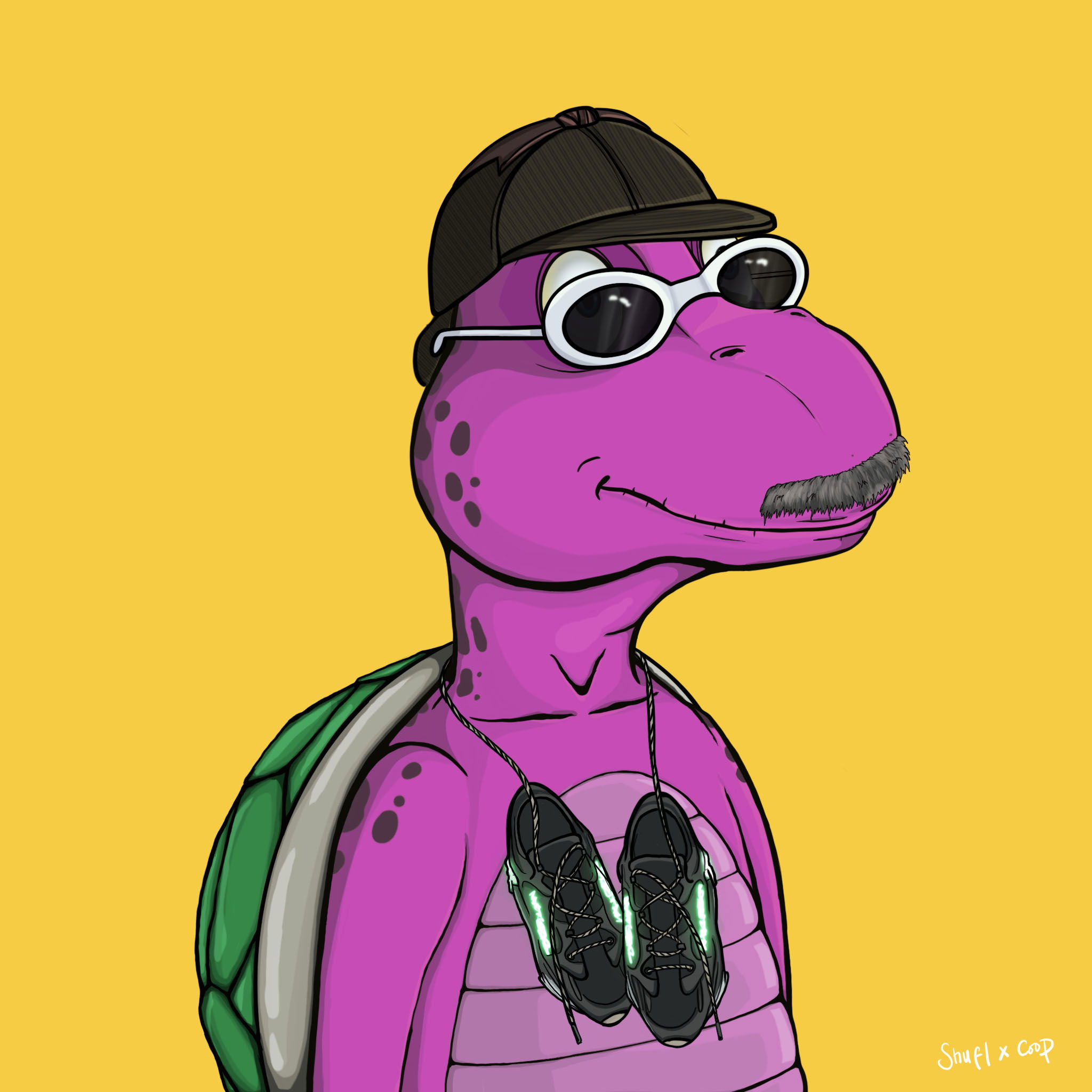 Coopa Troopa #1761 NFT on Algorand