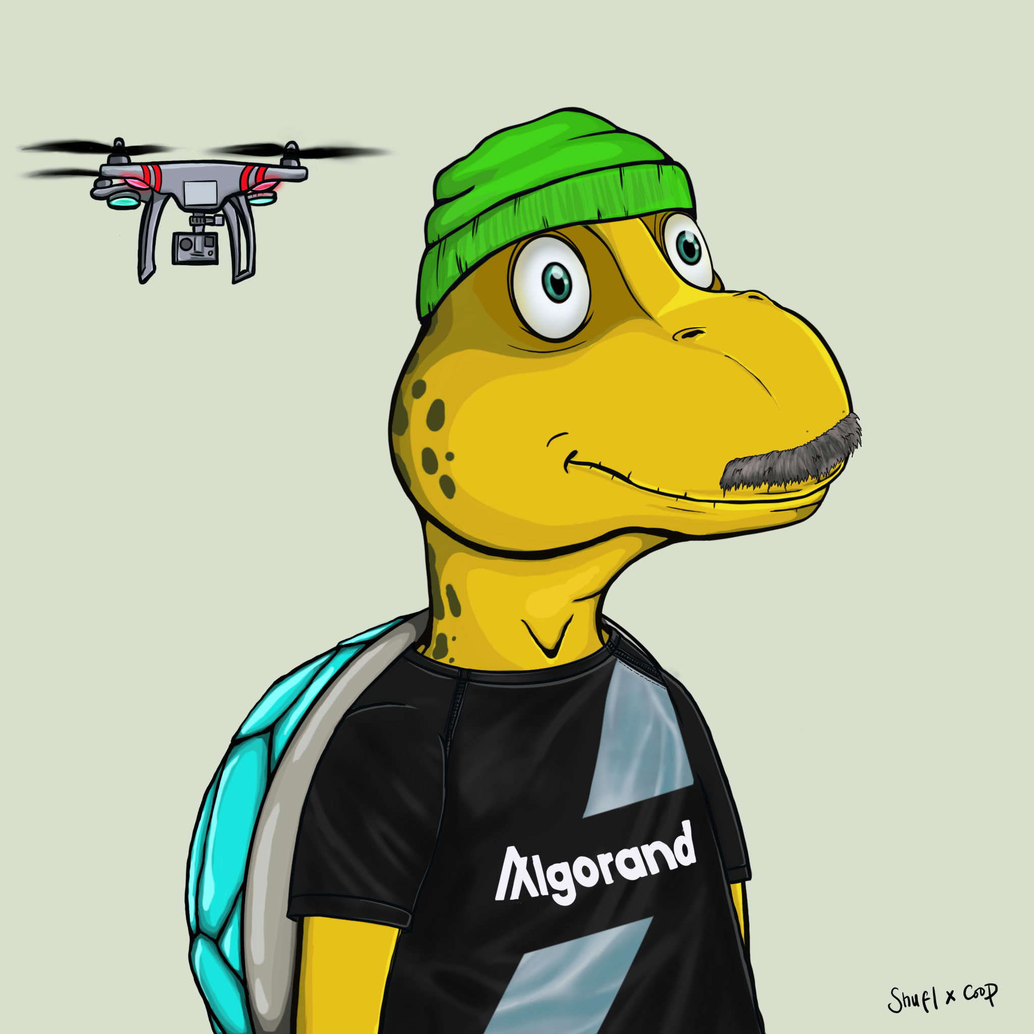 Coopa Troopa #1763 NFT on Algorand