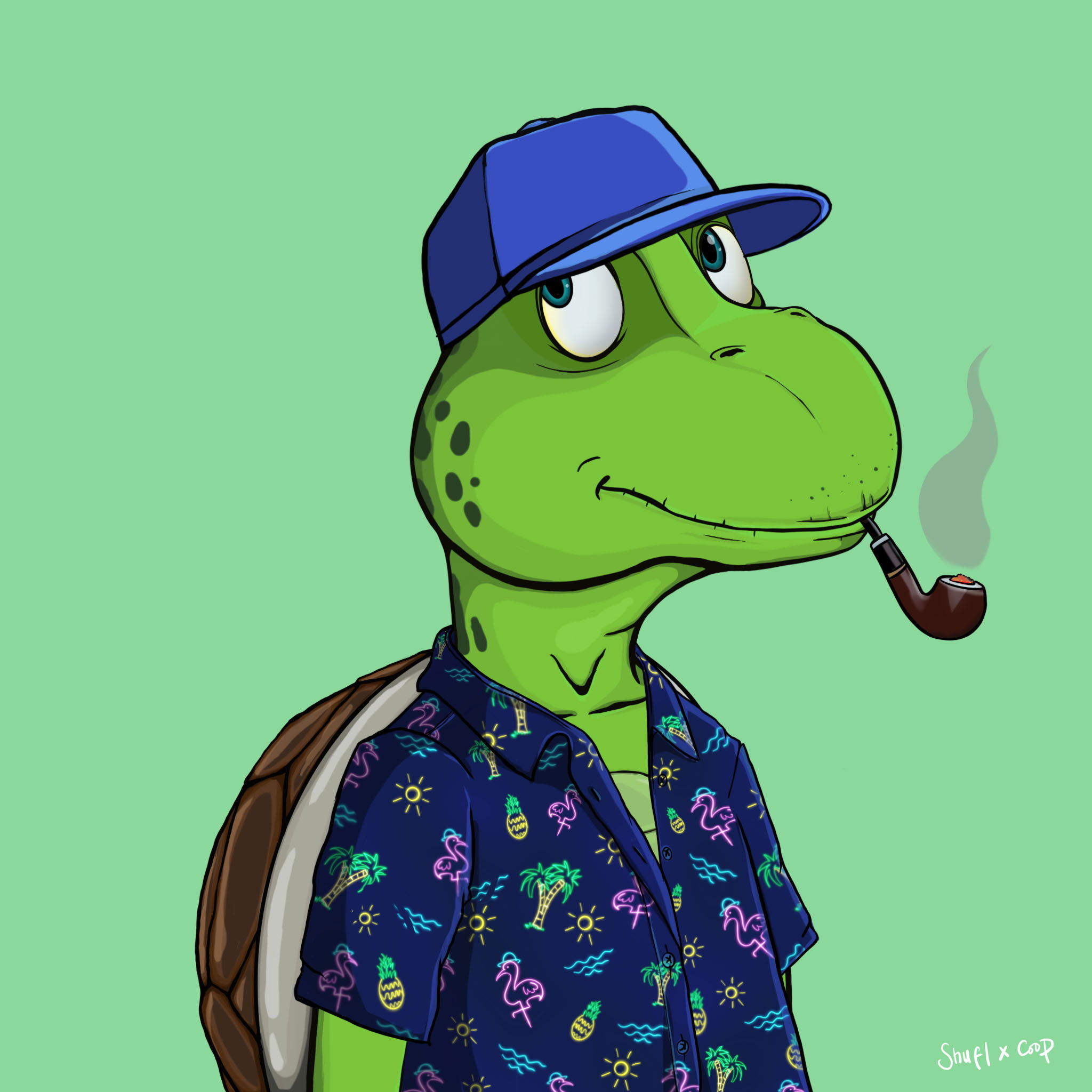 Coopa Troopa #1764 NFT on Algorand