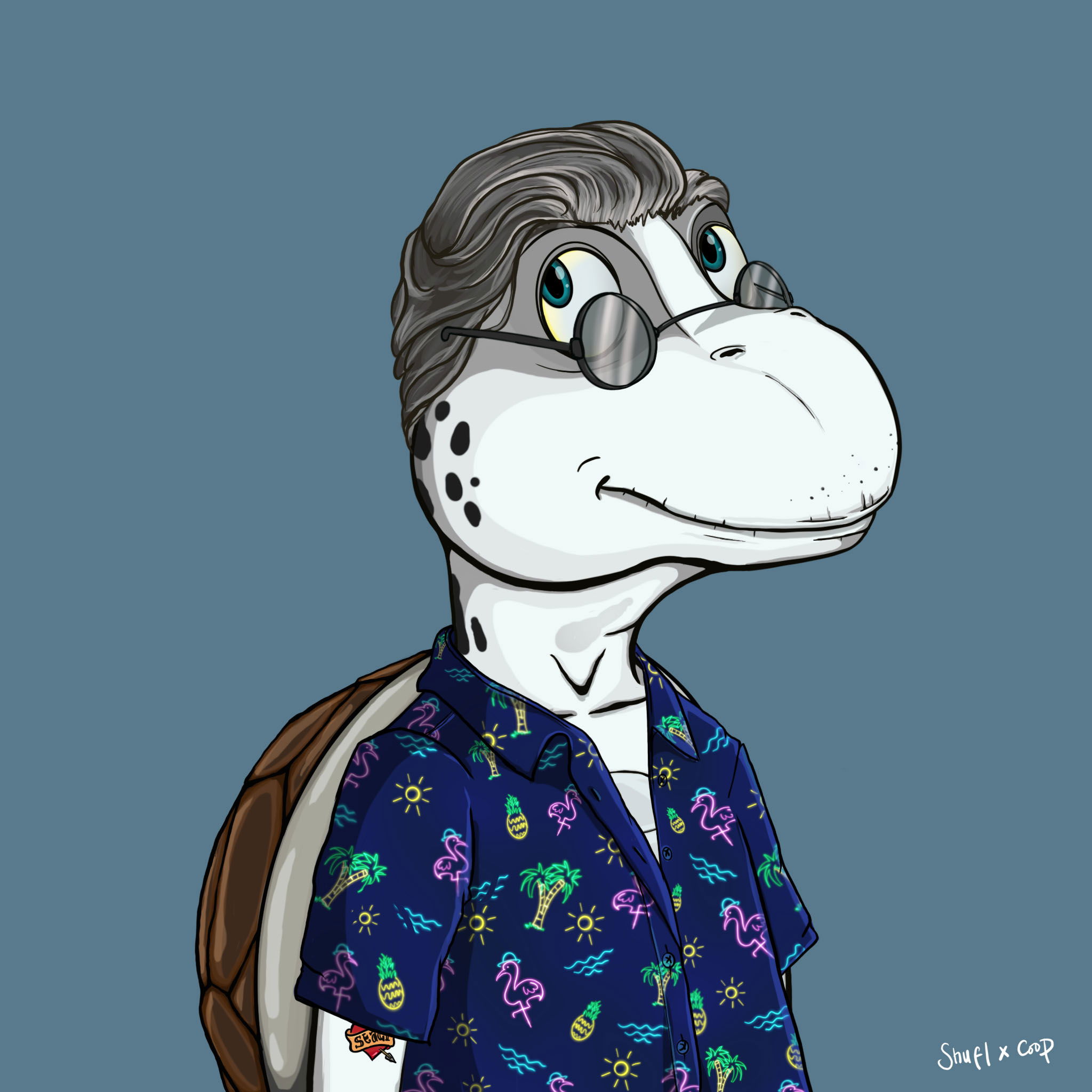 Coopa Troopa #1765 NFT on Algorand