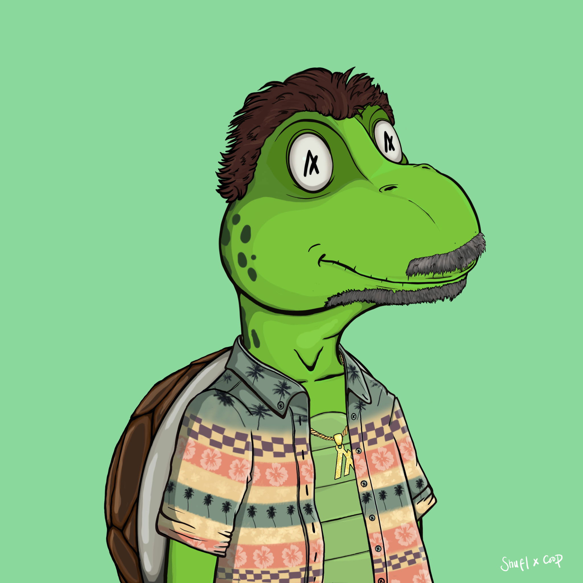 Coopa Troopa #1766 NFT on Algorand