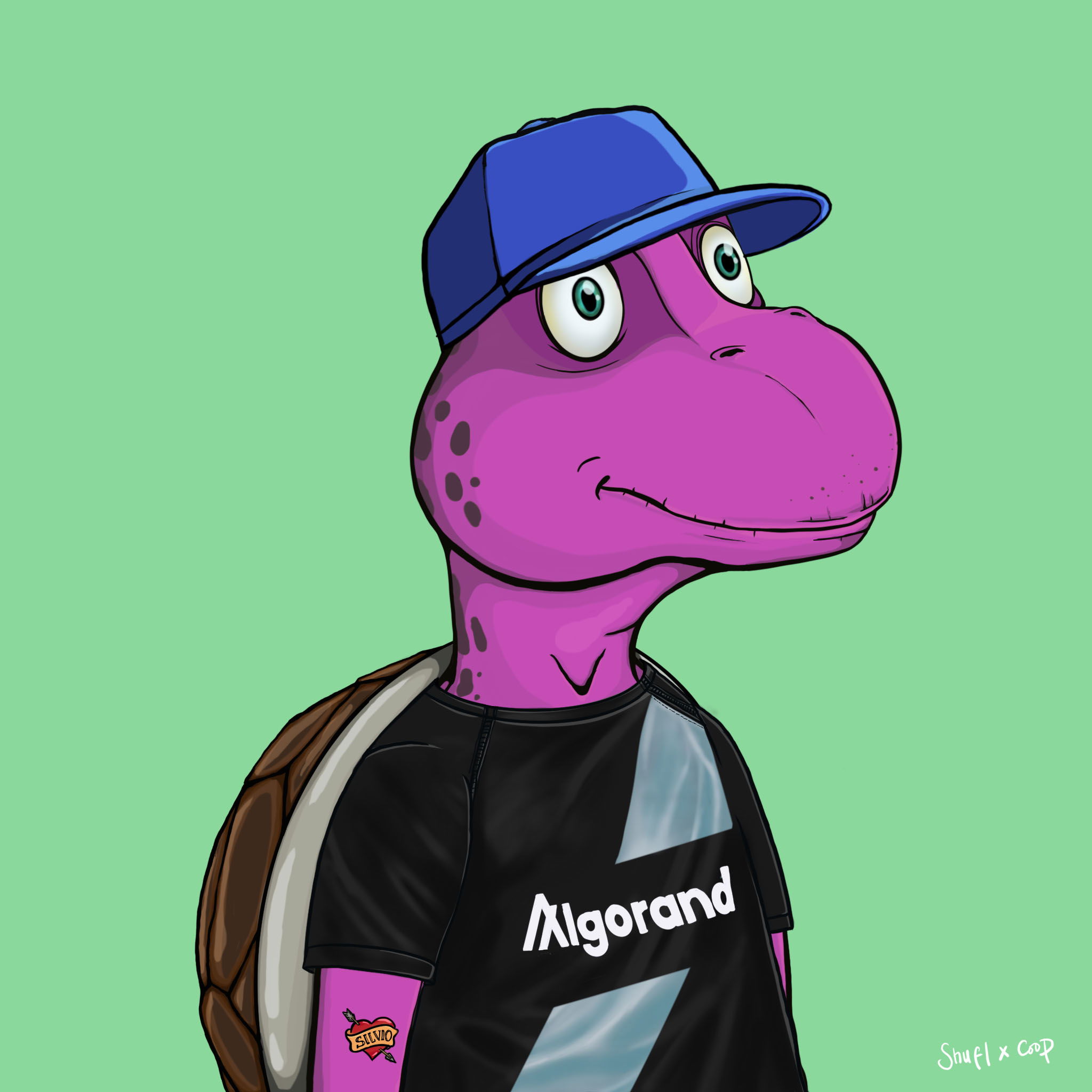 Coopa Troopa #1775 NFT on Algorand