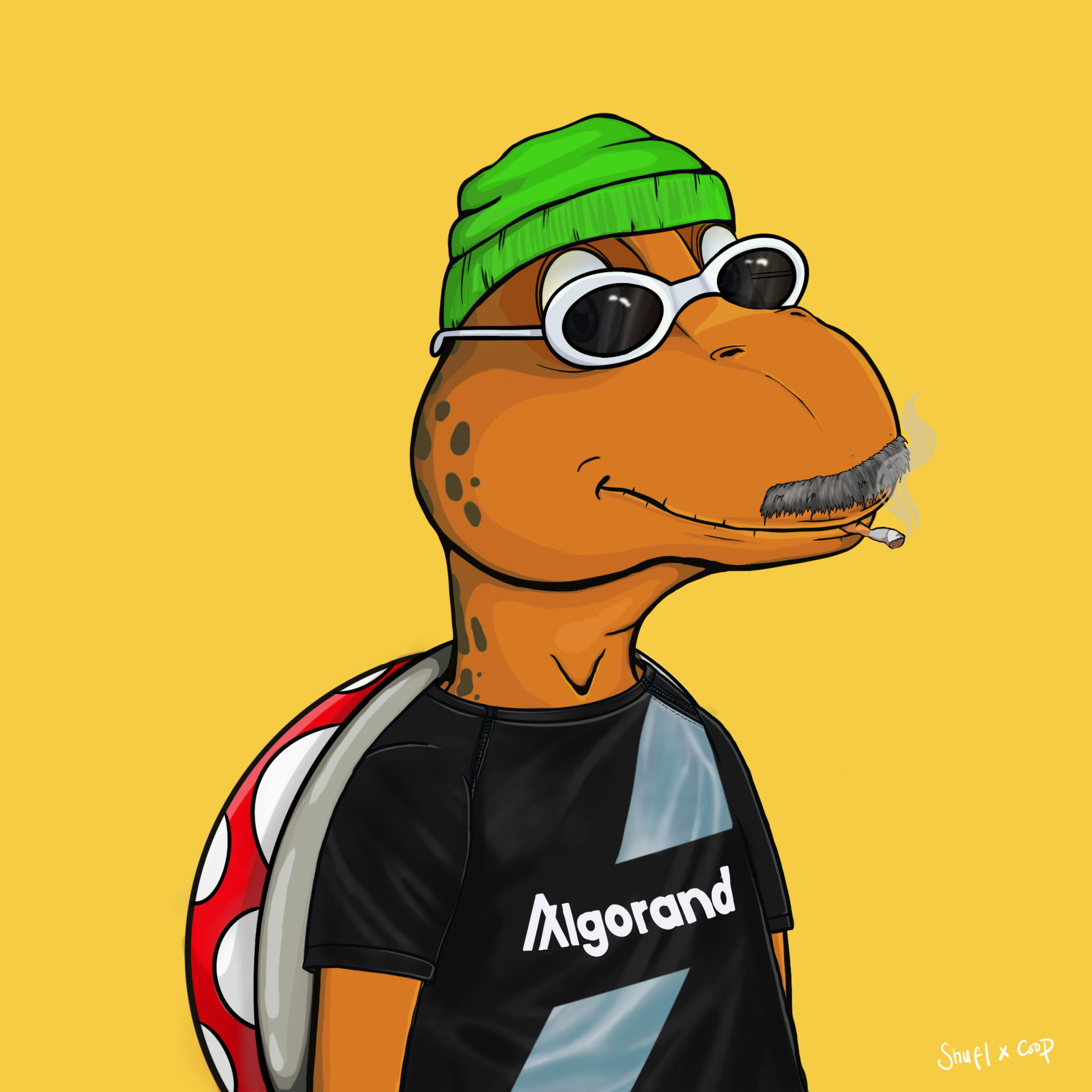 Coopa Troopa #1778 NFT on Algorand