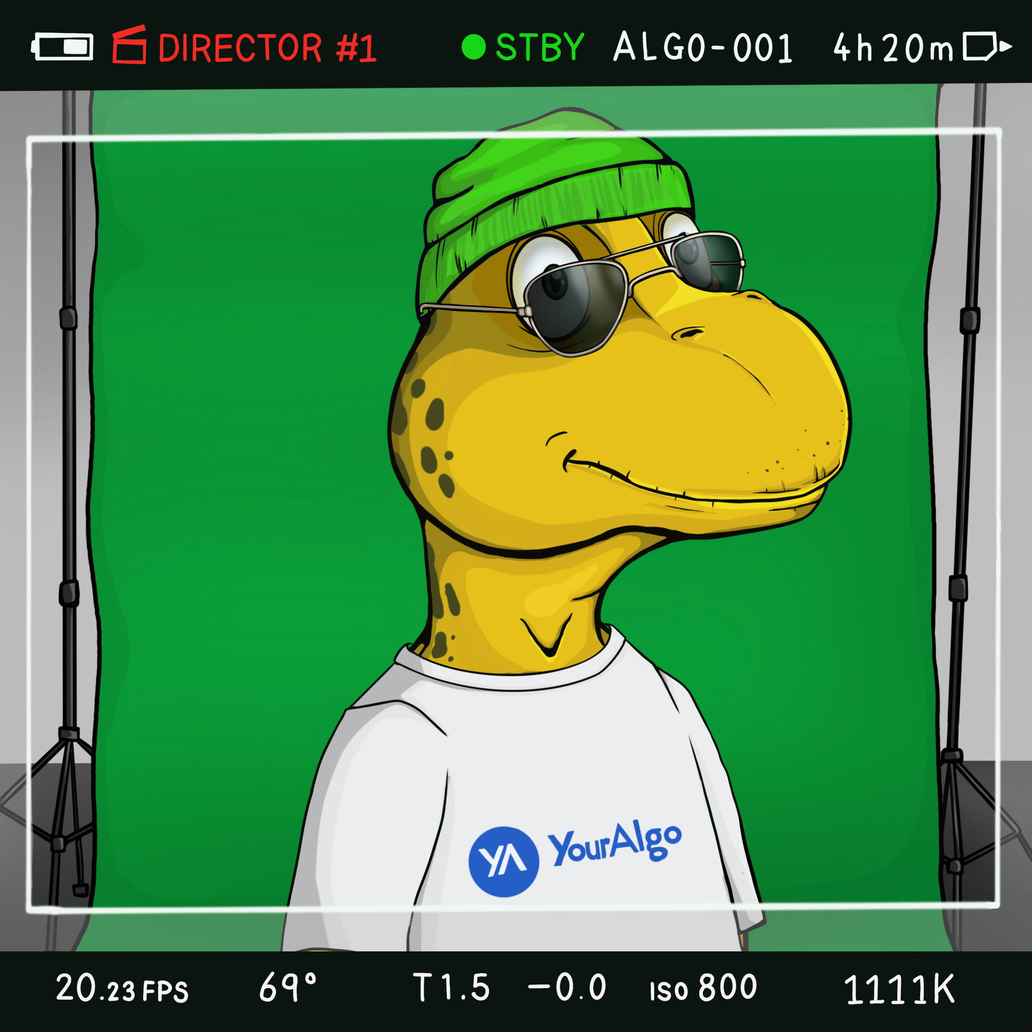 Coopa Troopa #1794 NFT on Algorand