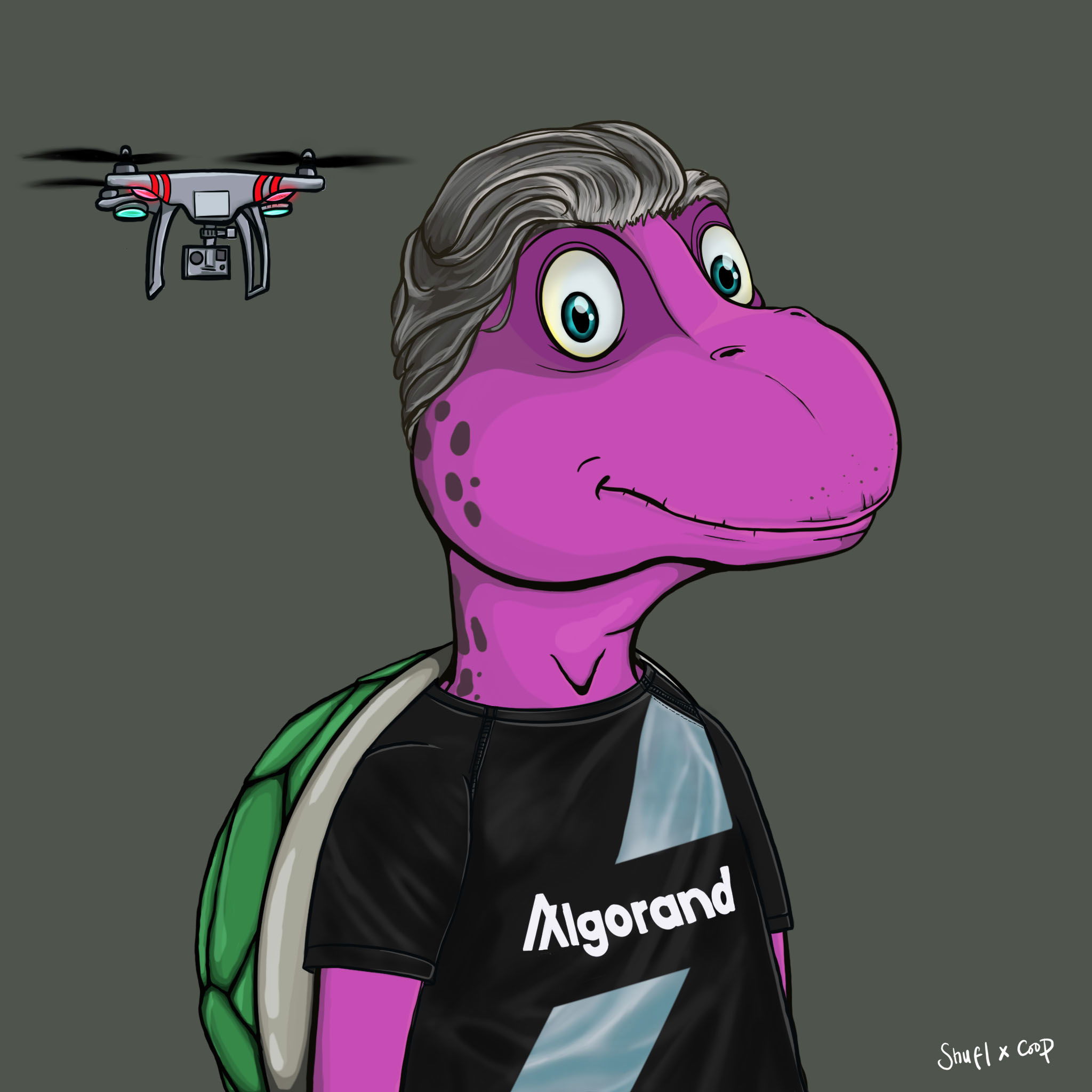 Coopa Troopa #18 NFT on Algorand