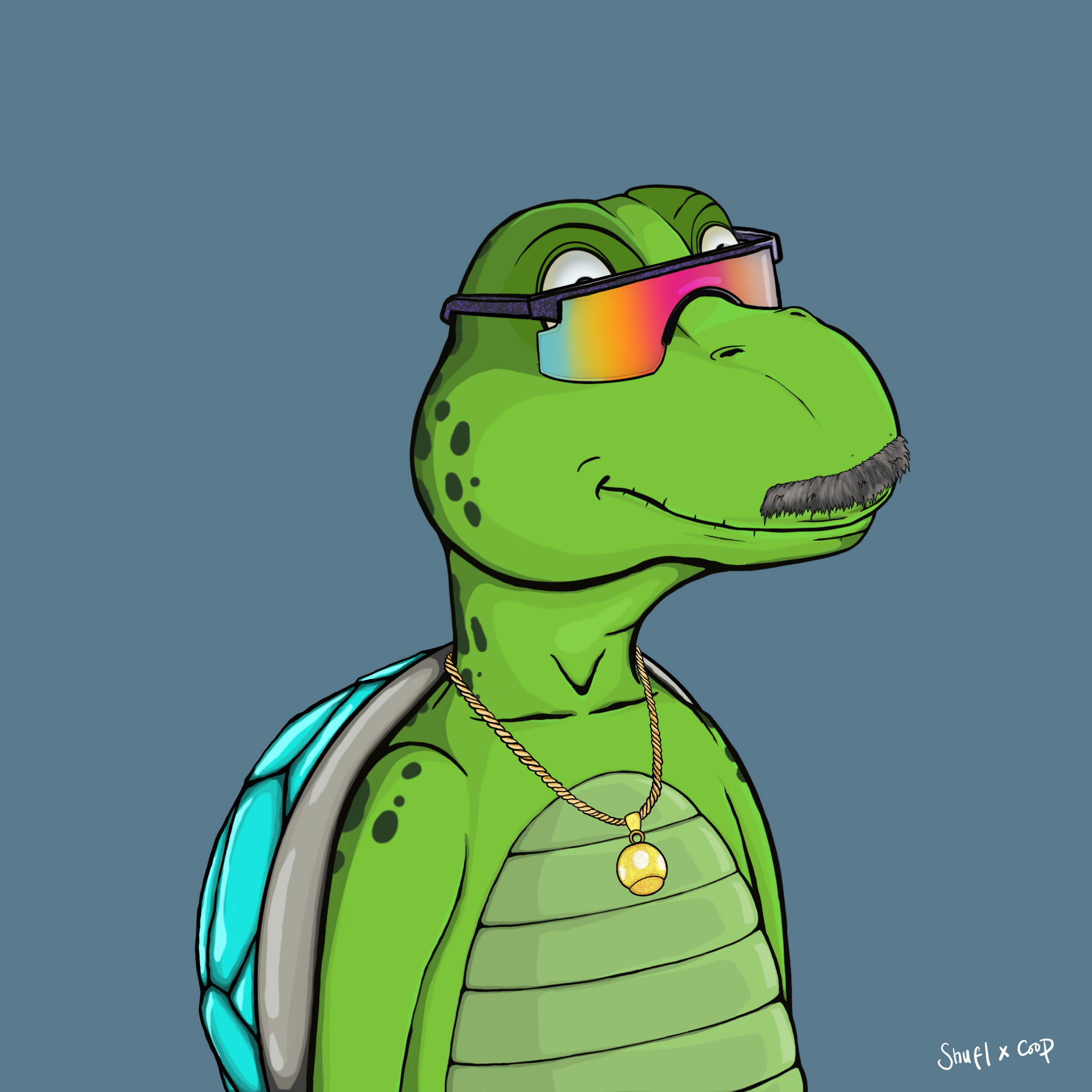 Coopa Troopa #1802 NFT on Algorand