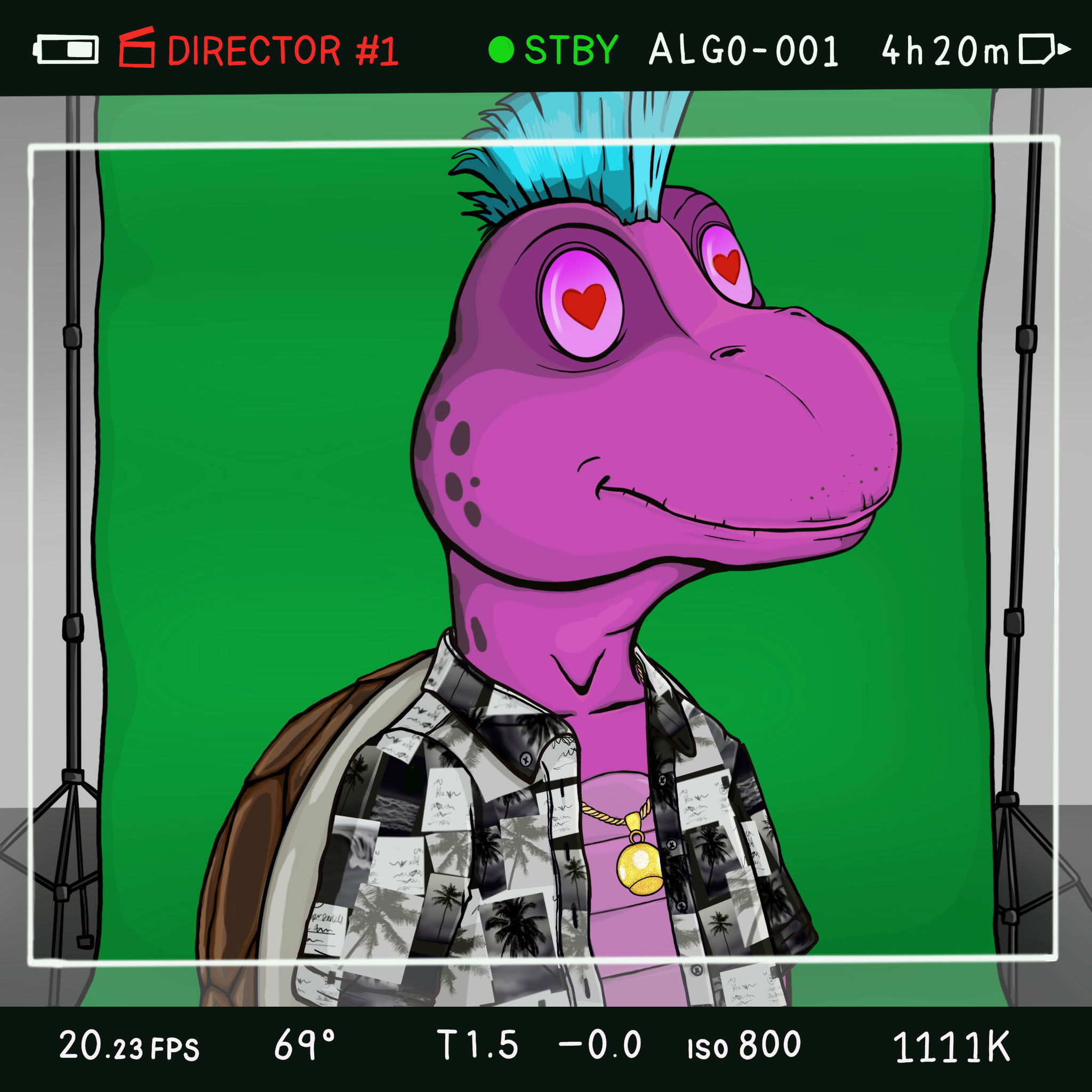 Coopa Troopa #1803 NFT on Algorand