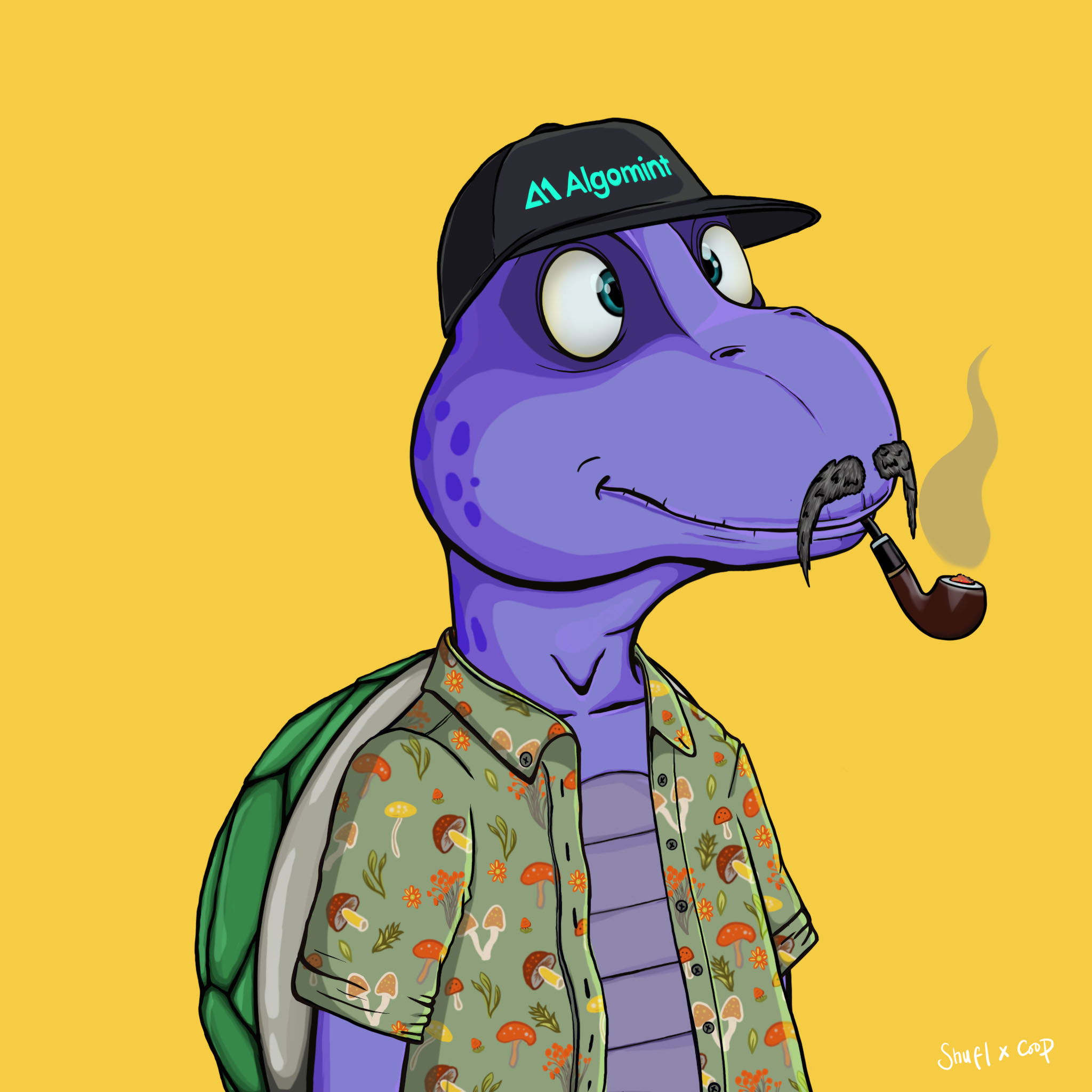 Coopa Troopa #1804 NFT on Algorand