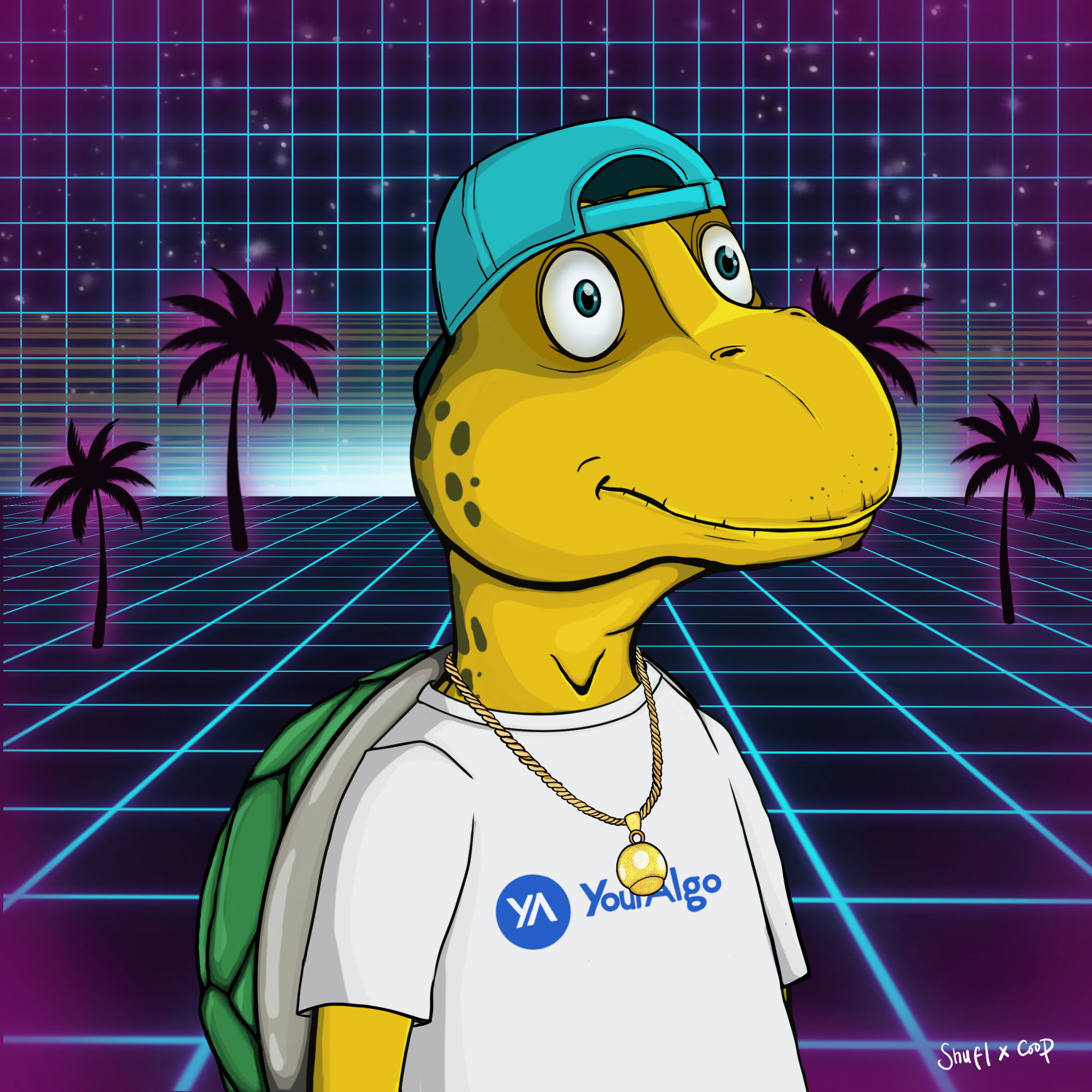 Coopa Troopa #1806 NFT on Algorand