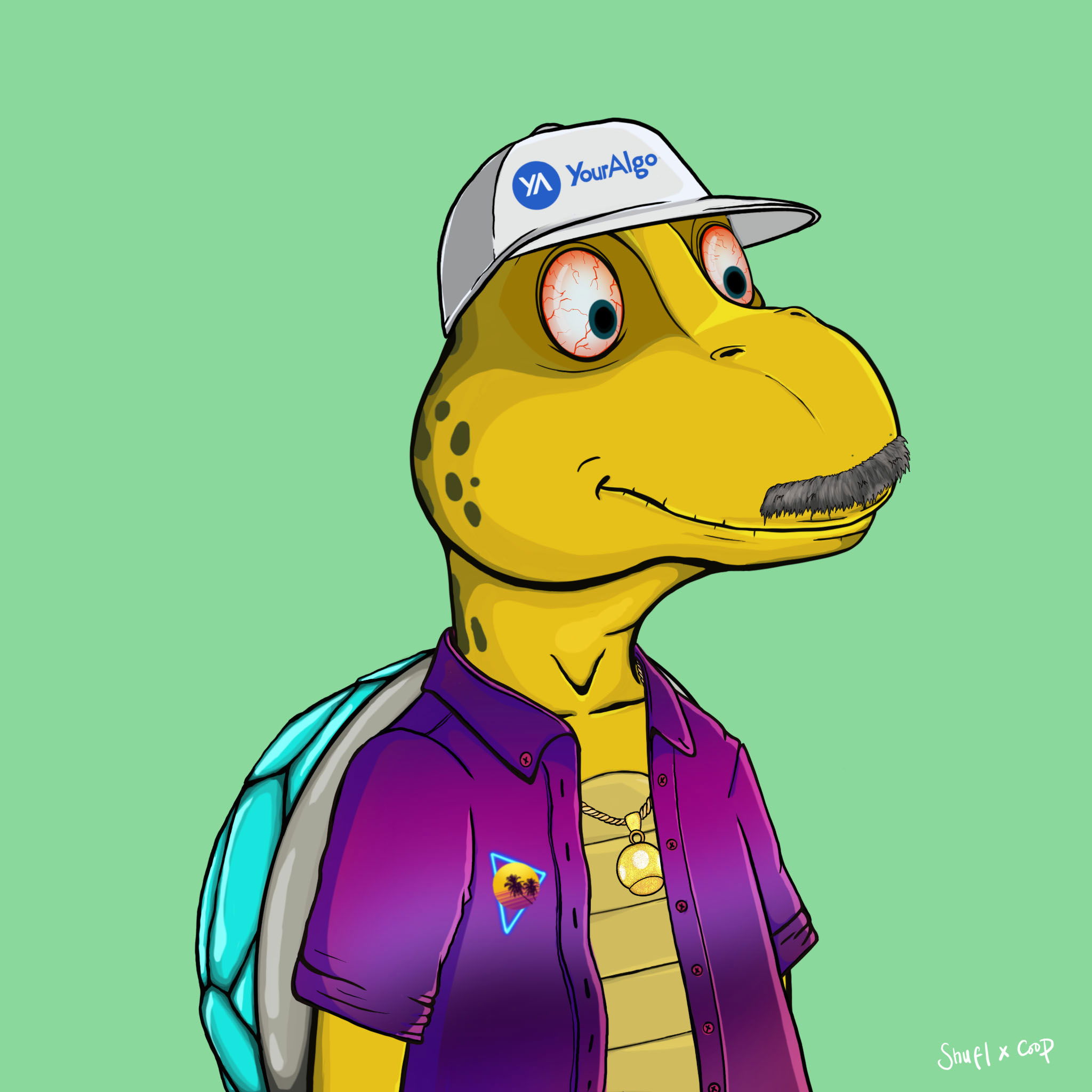 Coopa Troopa #1808 NFT on Algorand