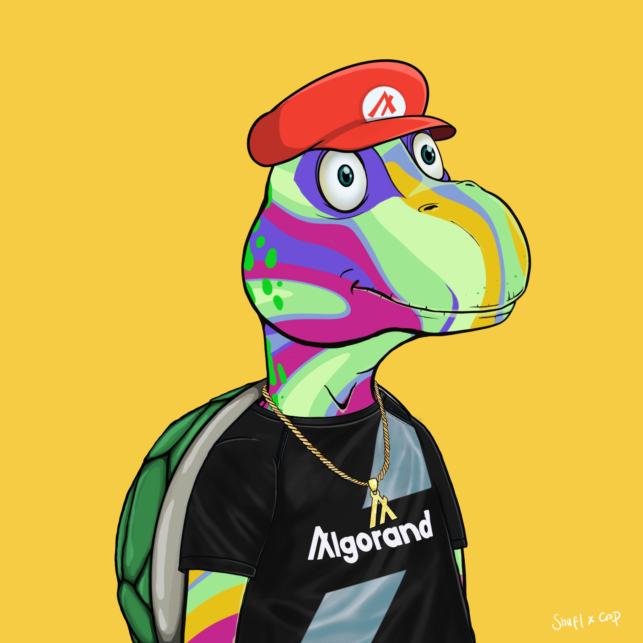Coopa Troopa #1842 NFT on Algorand