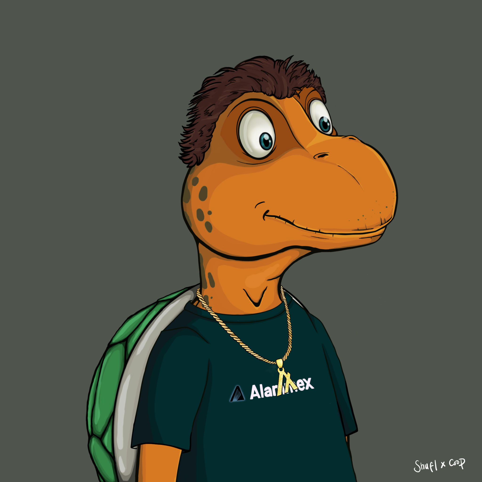 Coopa Troopa #1846 NFT on Algorand