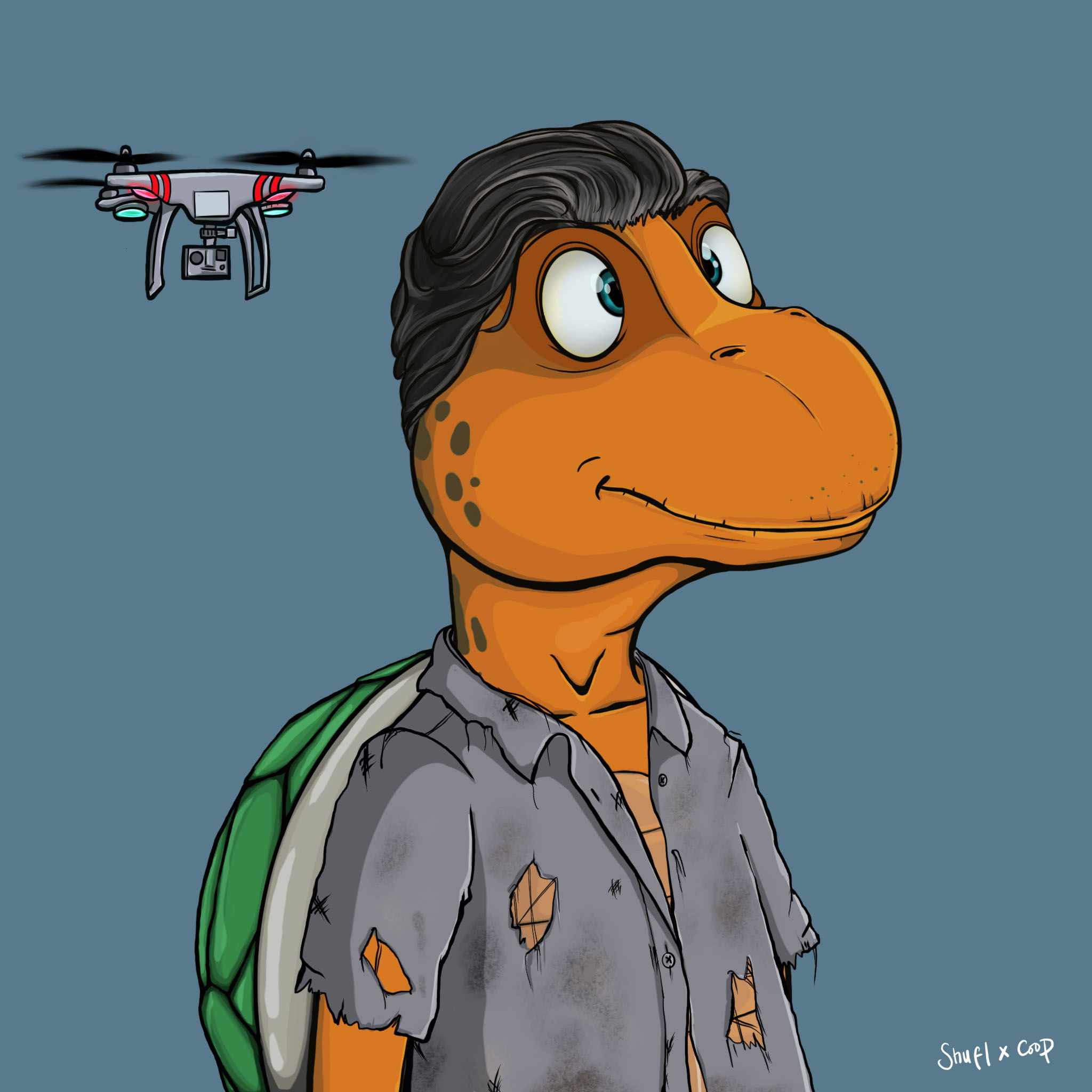 Coopa Troopa #1860 NFT on Algorand