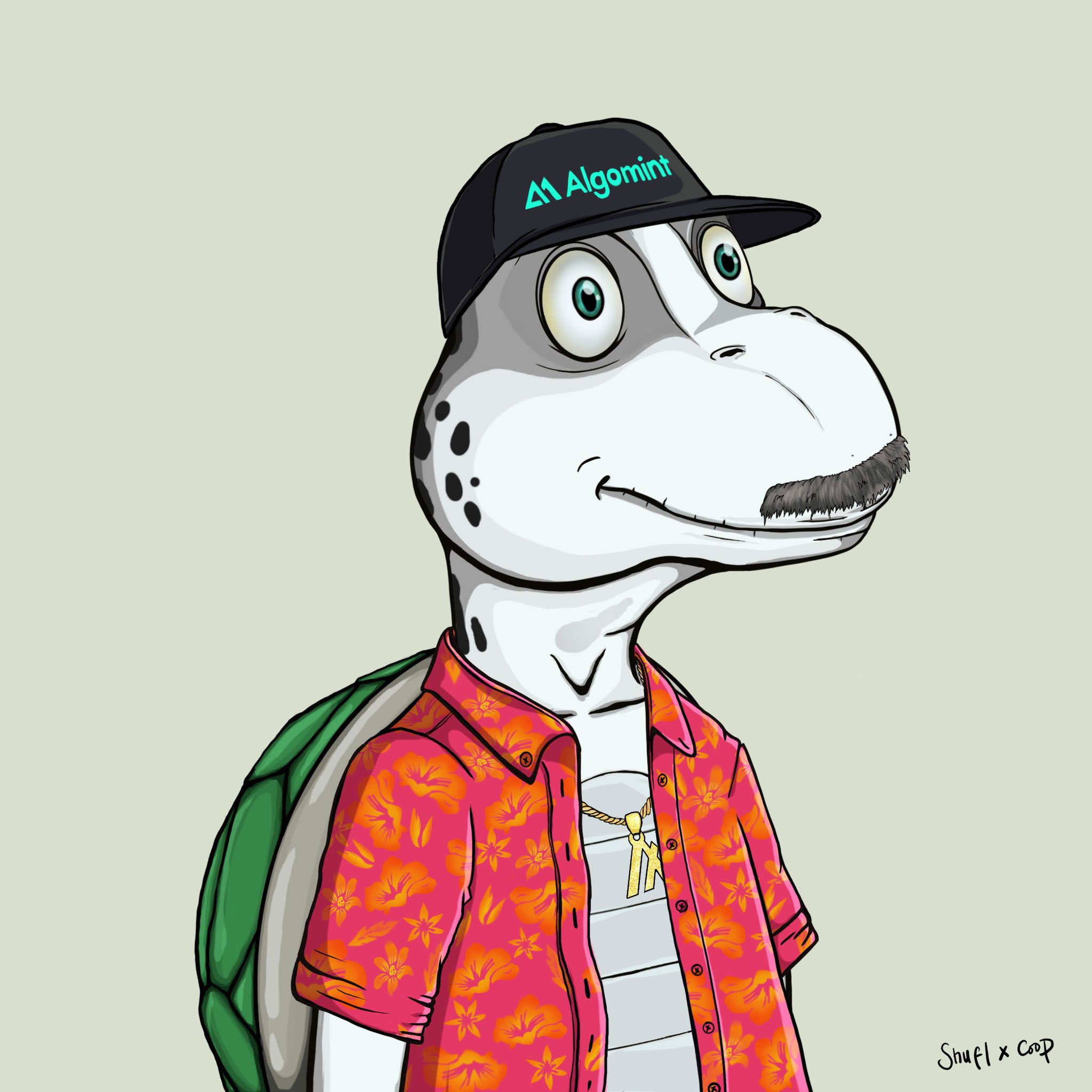 Coopa Troopa #1871 NFT on Algorand