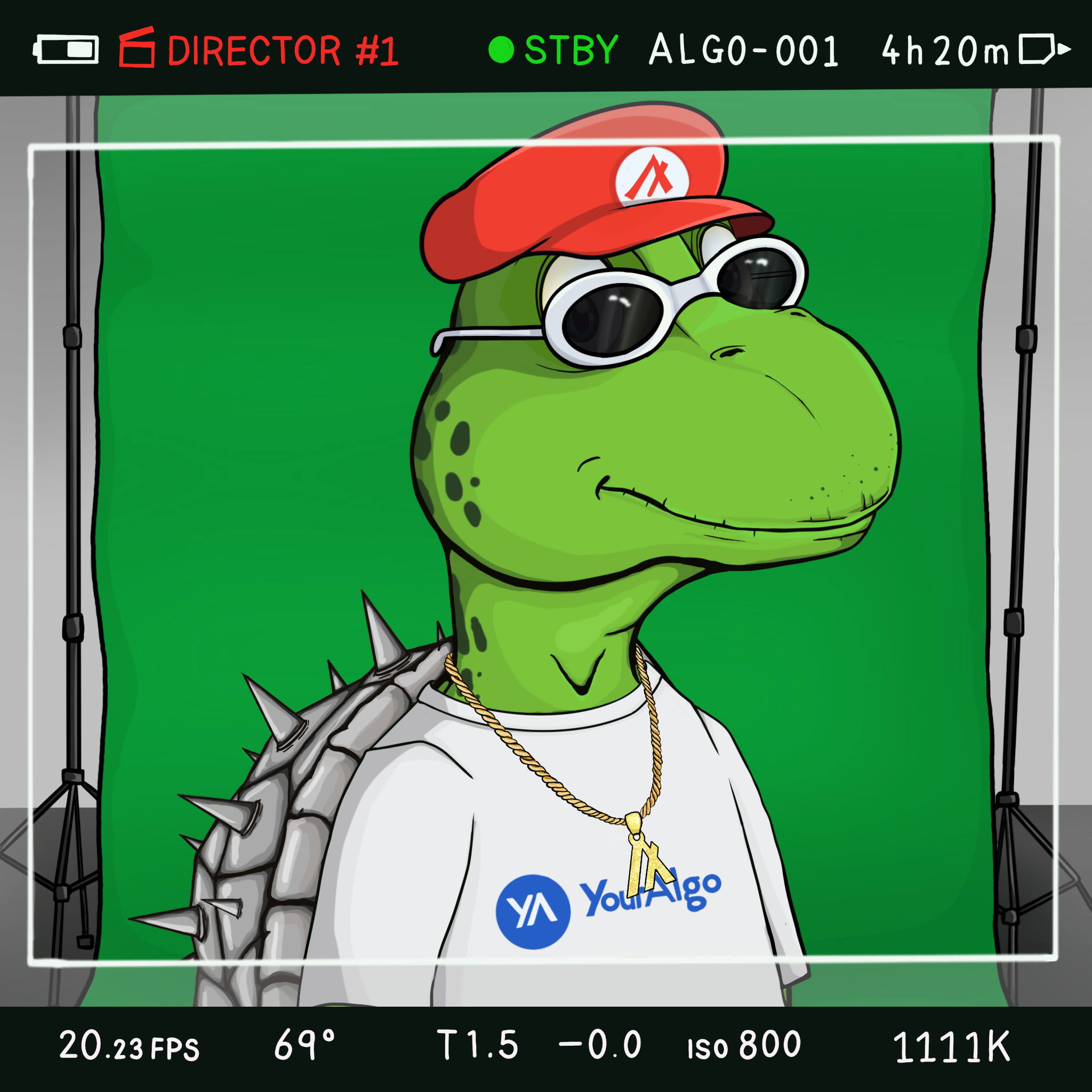 Coopa Troopa #1874 NFT on Algorand