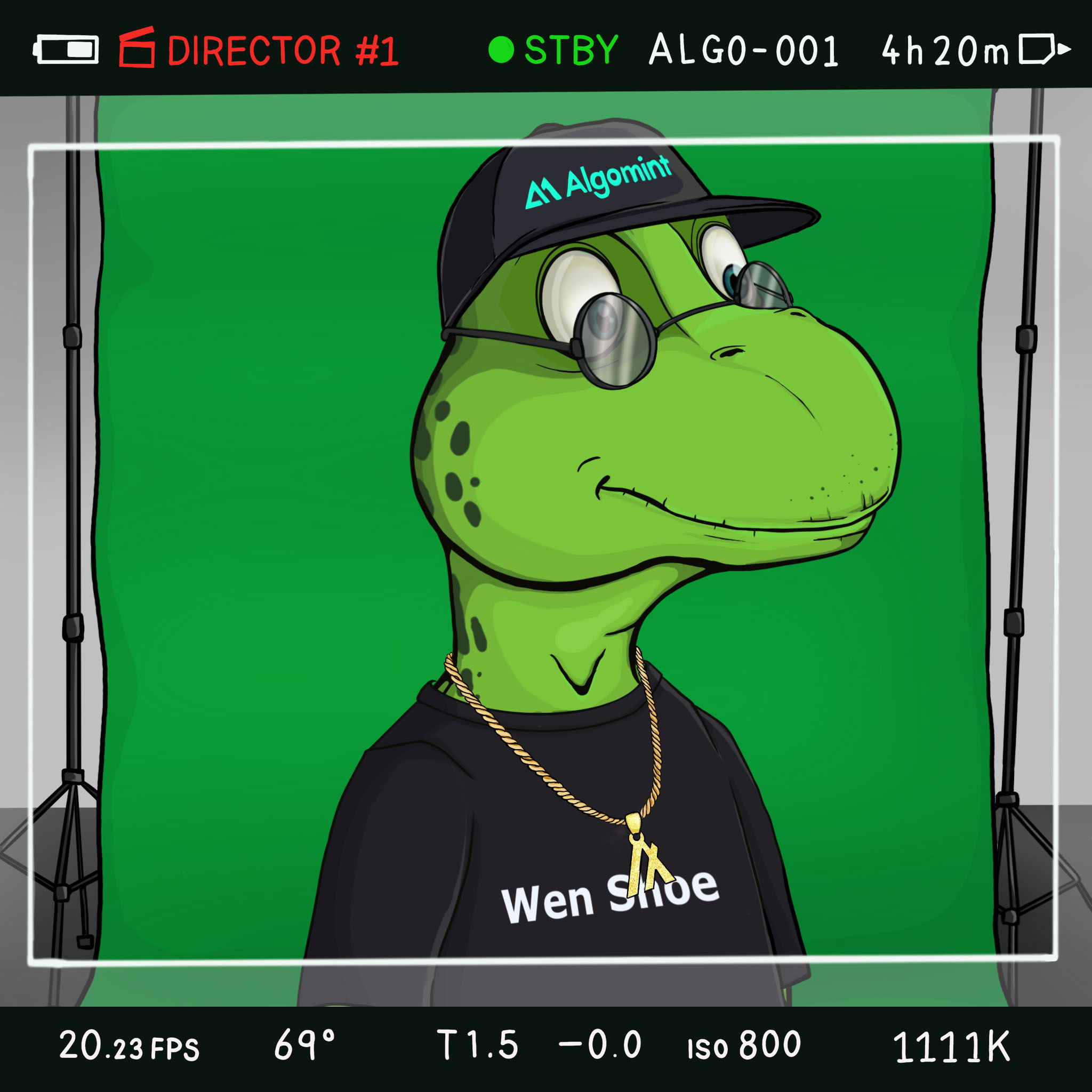 Coopa Troopa #1885 NFT on Algorand