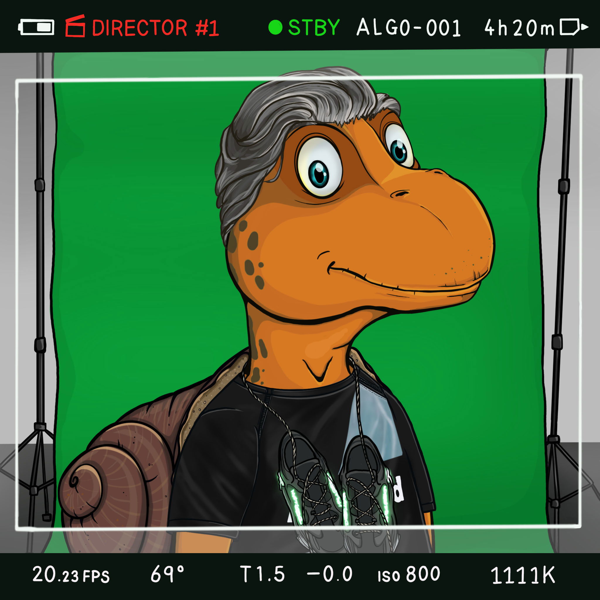 Coopa Troopa #1887 NFT on Algorand