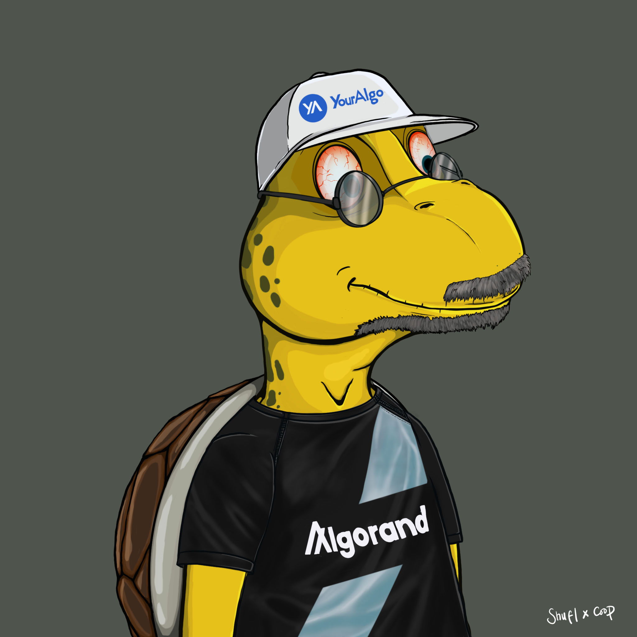 Coopa Troopa #1889 NFT on Algorand