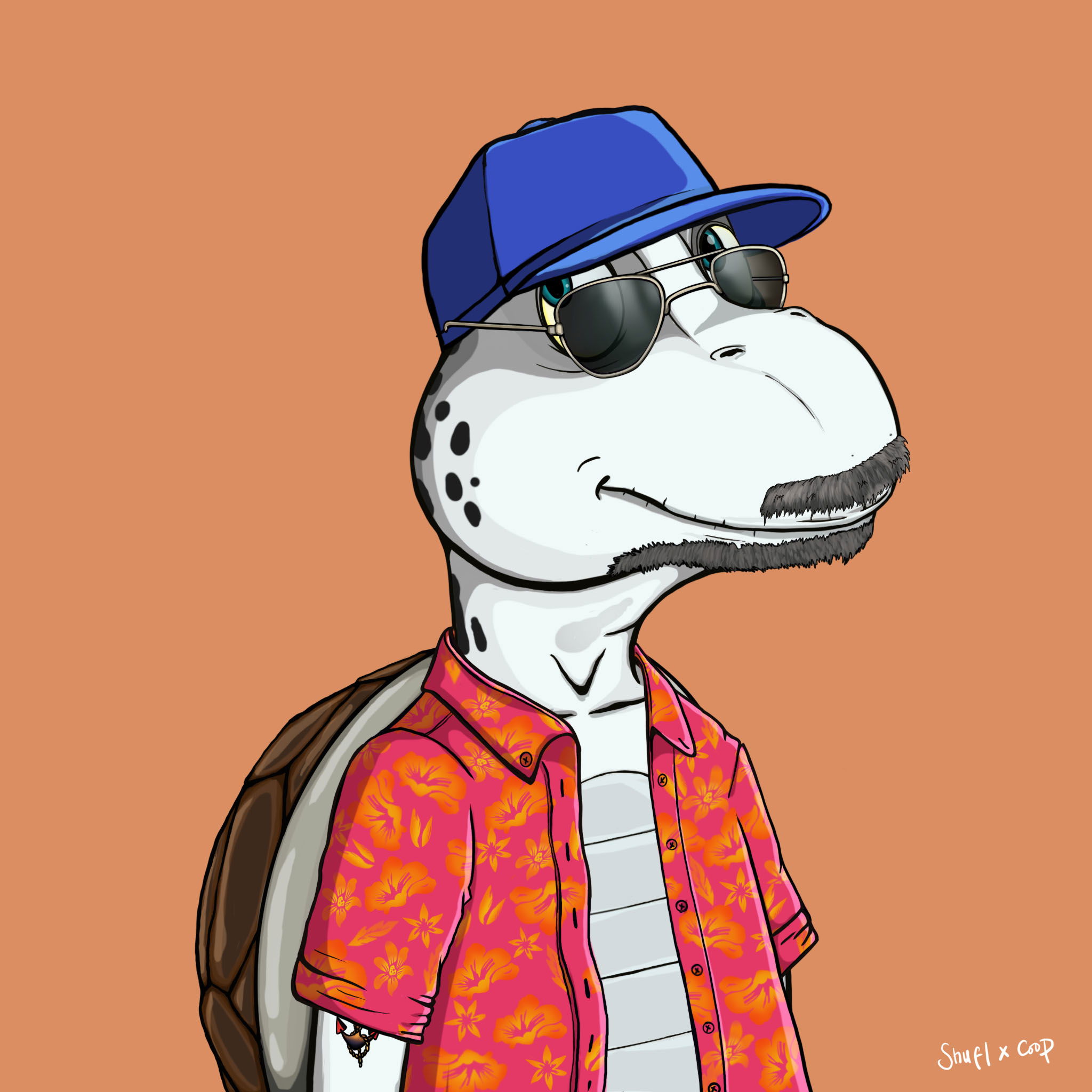 Coopa Troopa #1891 NFT on Algorand