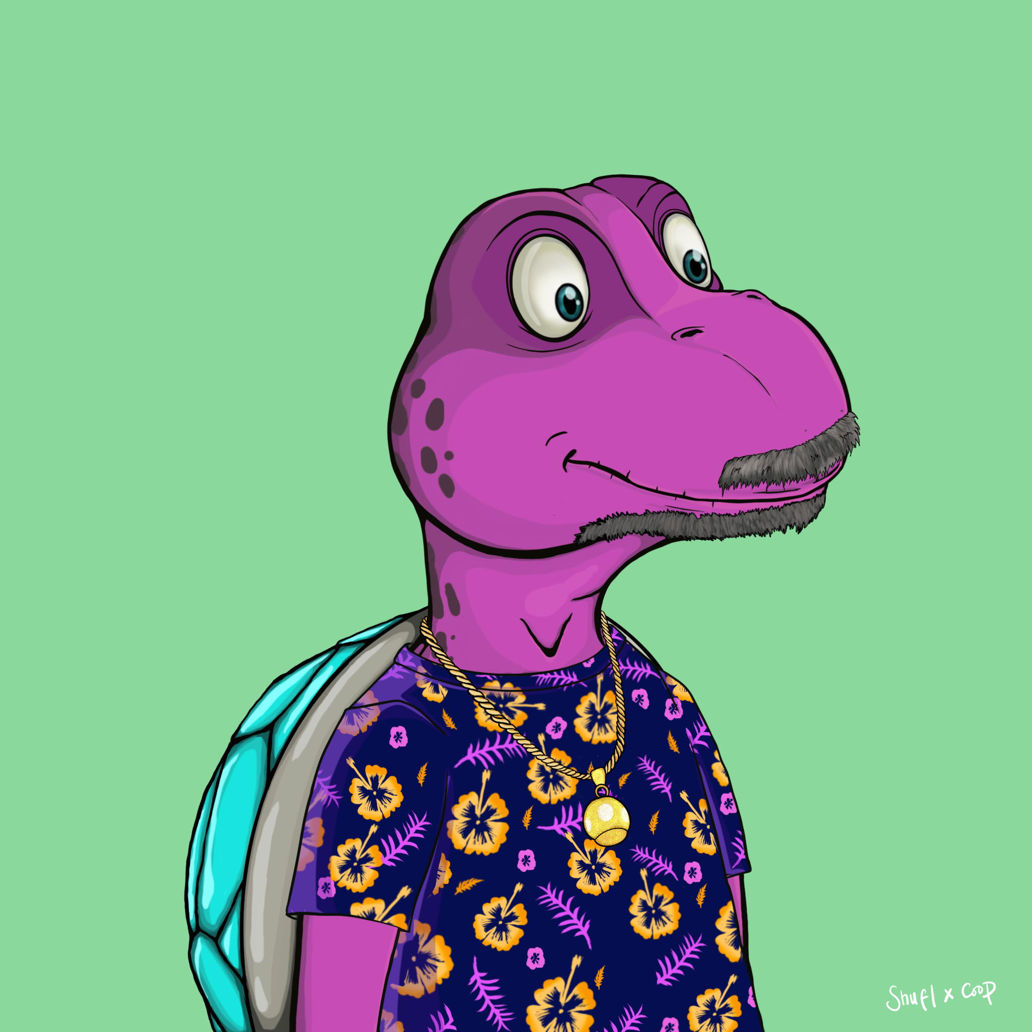 Coopa Troopa #1892 NFT on Algorand