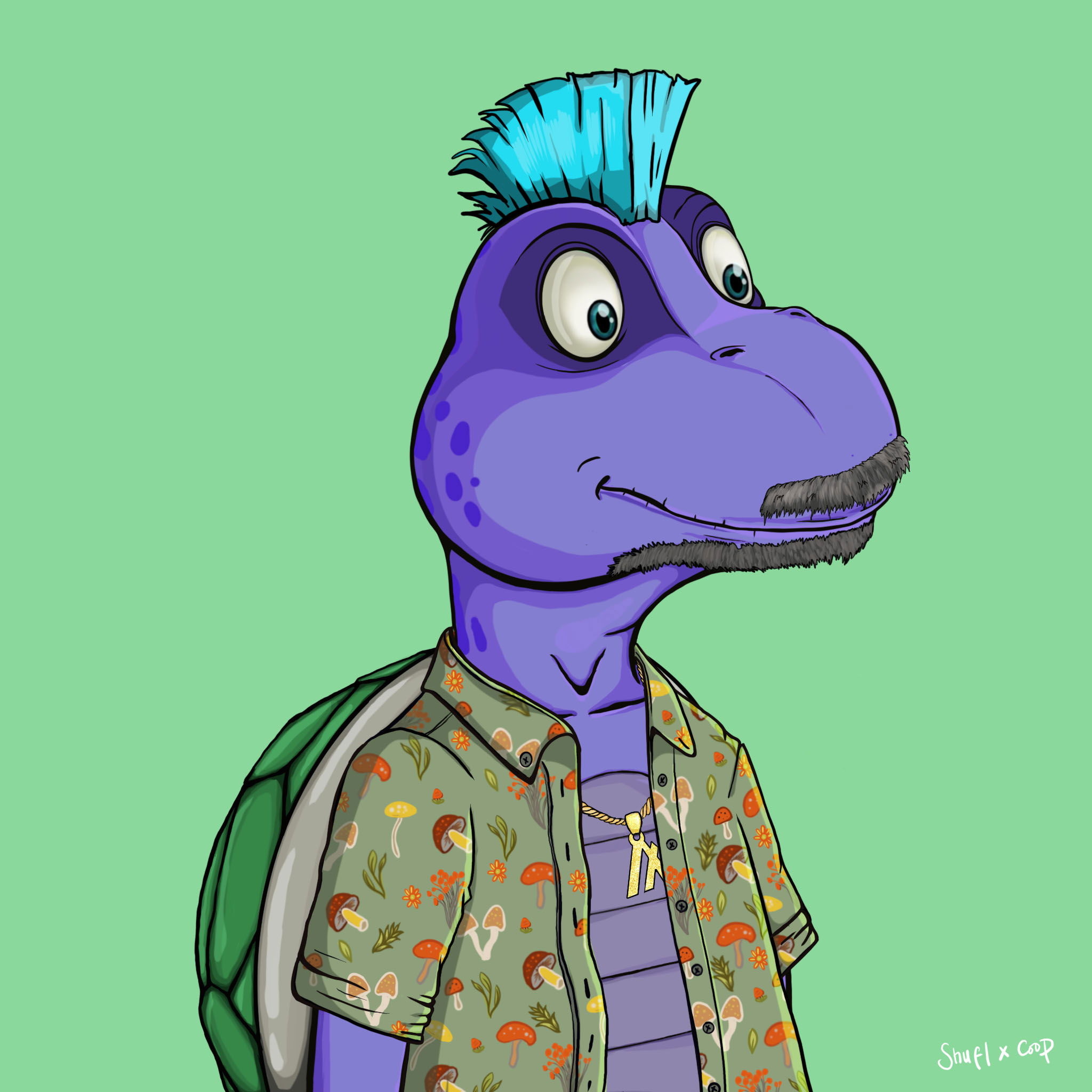 Coopa Troopa #1895 NFT on Algorand