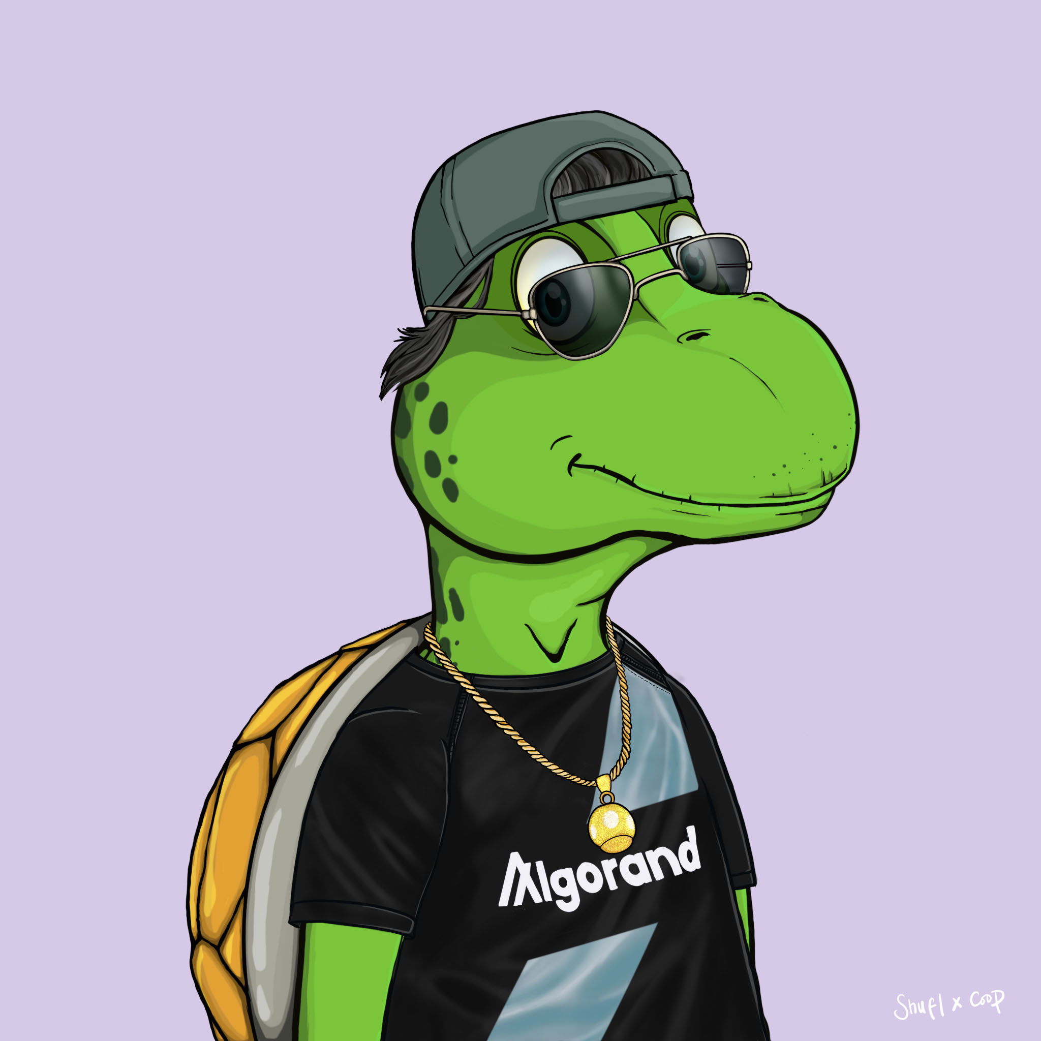 Coopa Troopa #1896 NFT on Algorand