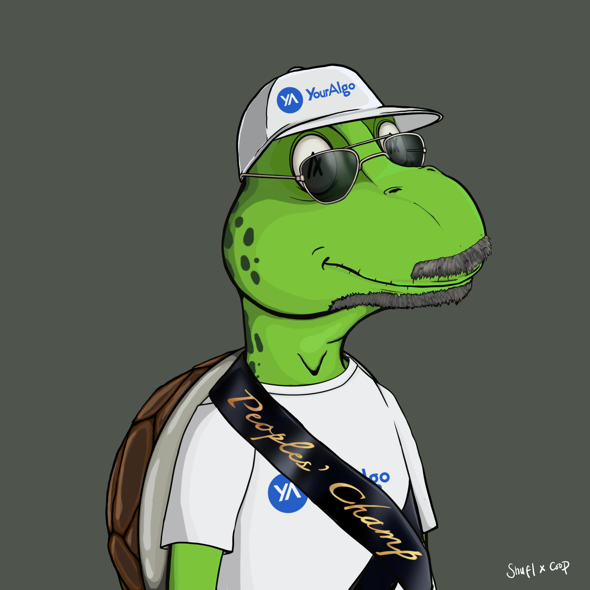 Coopa Troopa #1897 NFT on Algorand