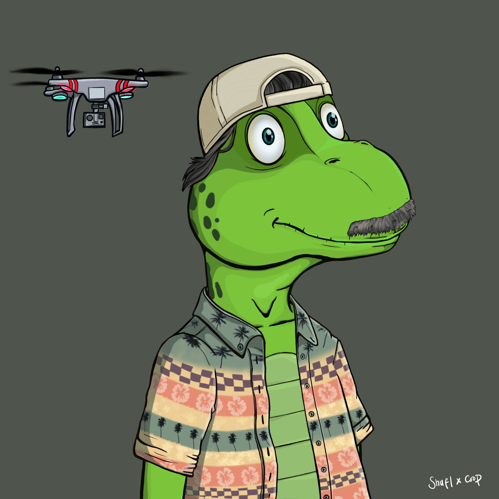 Coopa Troopa #191 NFT on Algorand