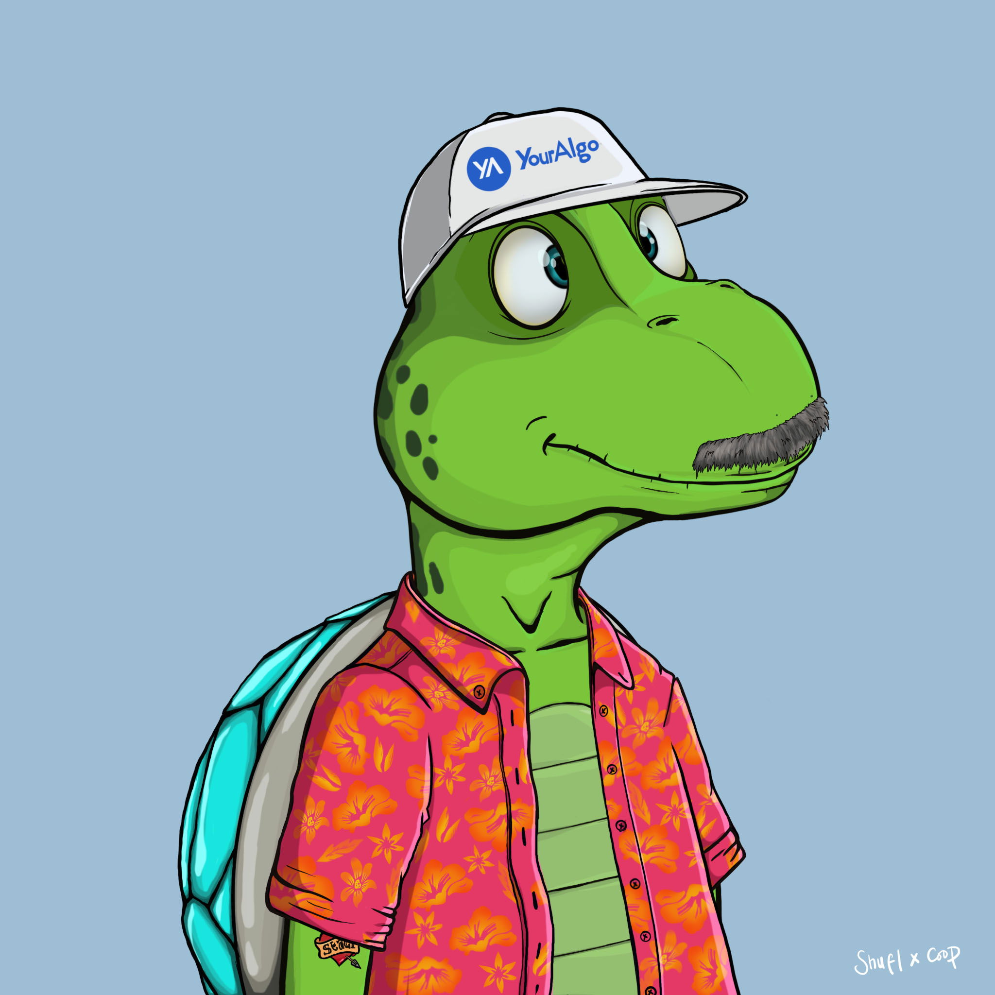 Coopa Troopa #1911 NFT on Algorand