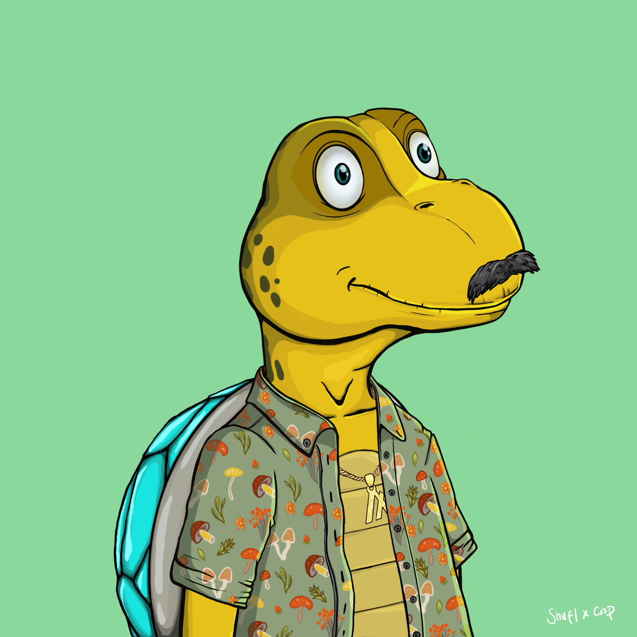 Coopa Troopa #1912 NFT on Algorand