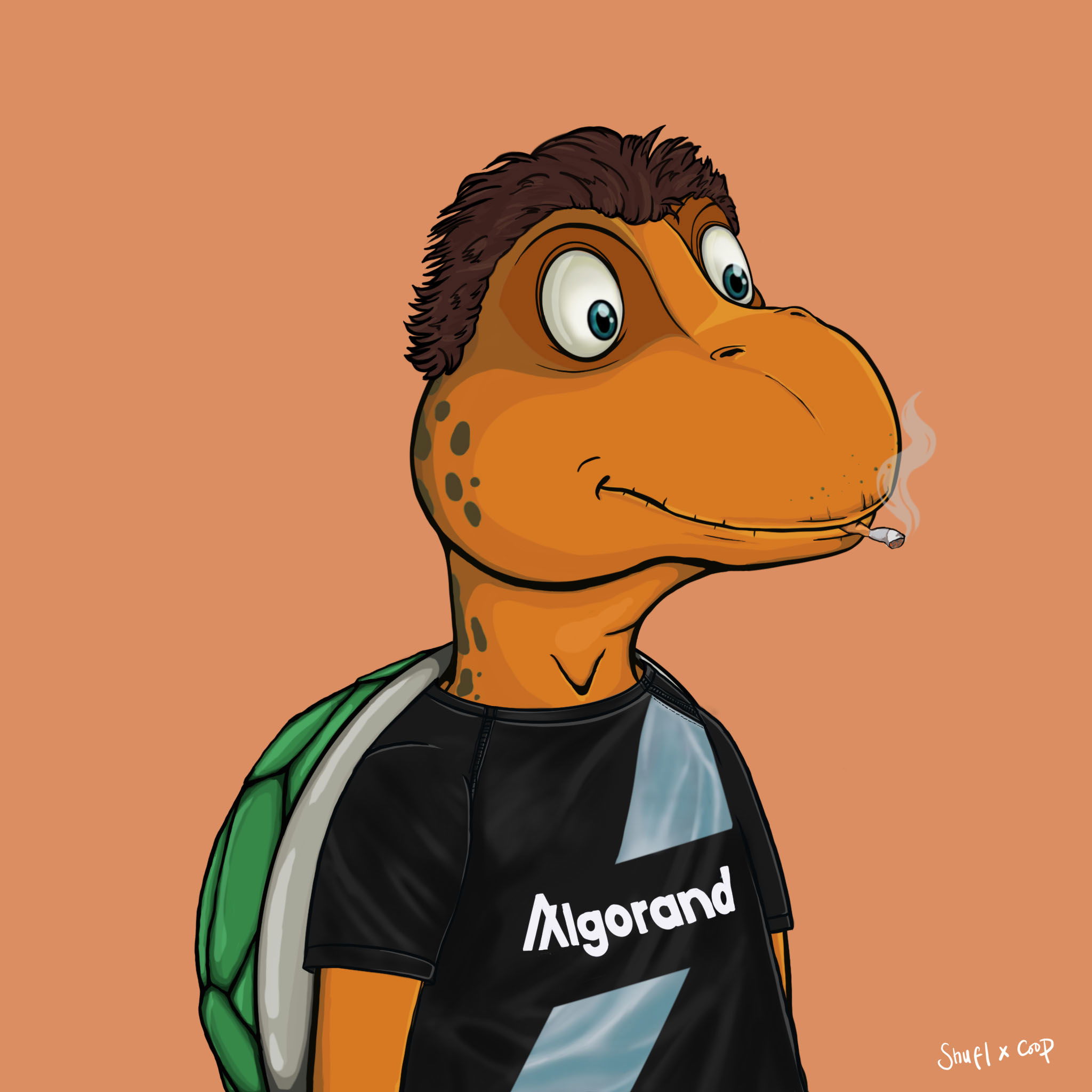 Coopa Troopa #1915 NFT on Algorand