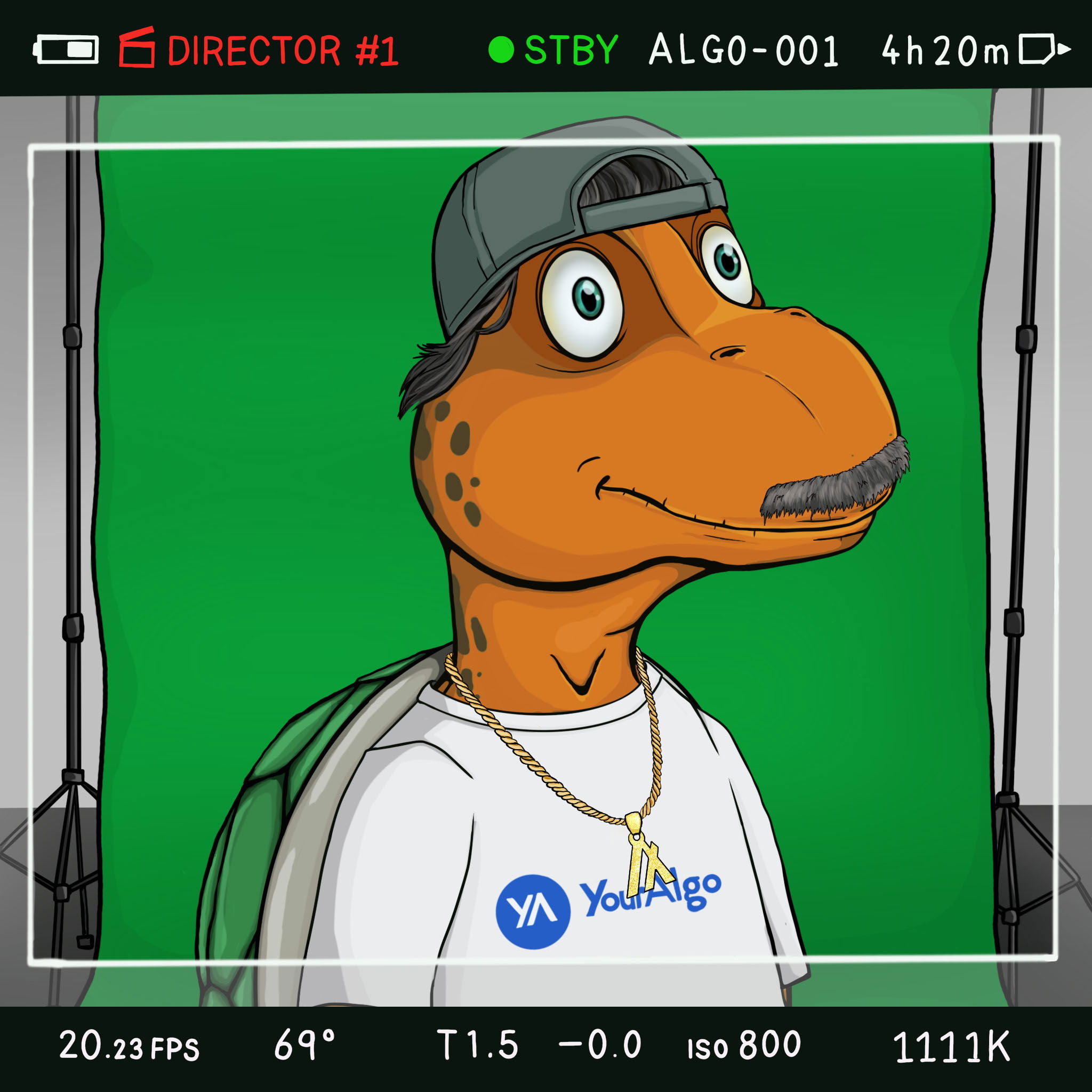 Coopa Troopa #1936 NFT on Algorand