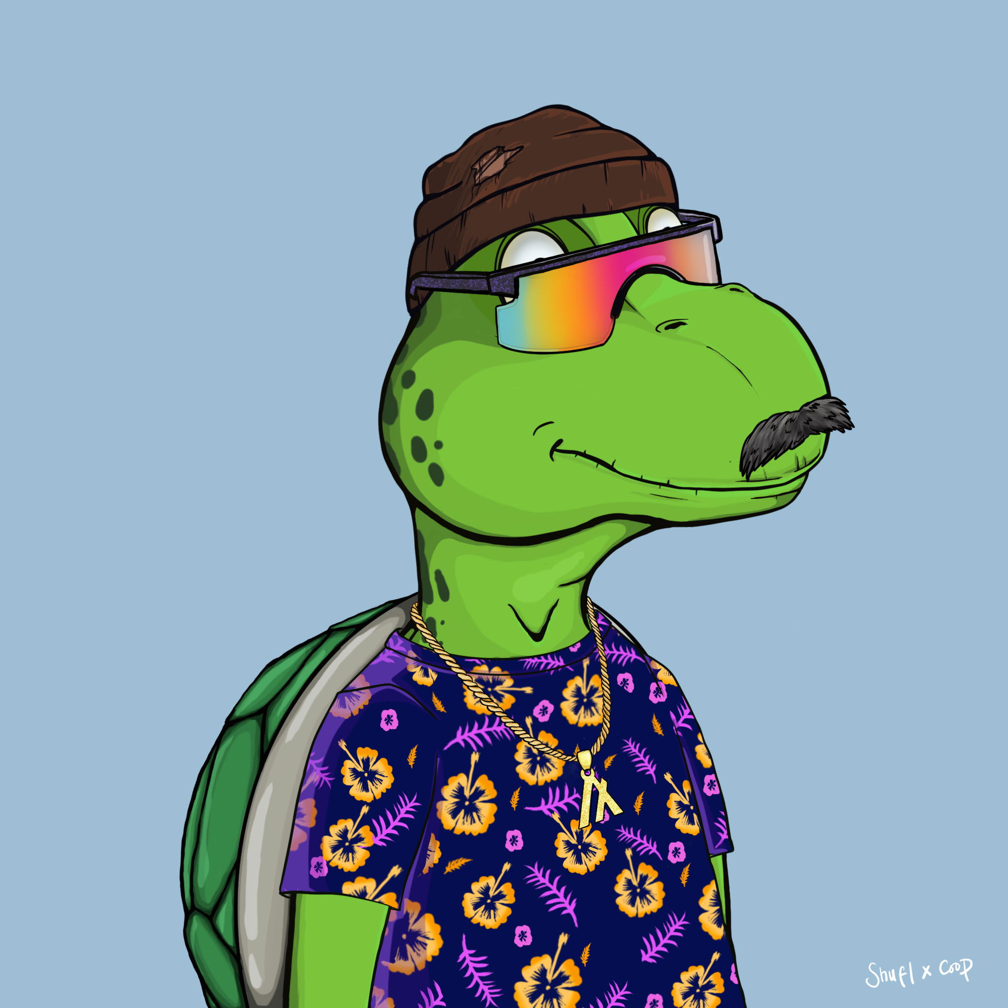 Coopa Troopa #194 NFT on Algorand