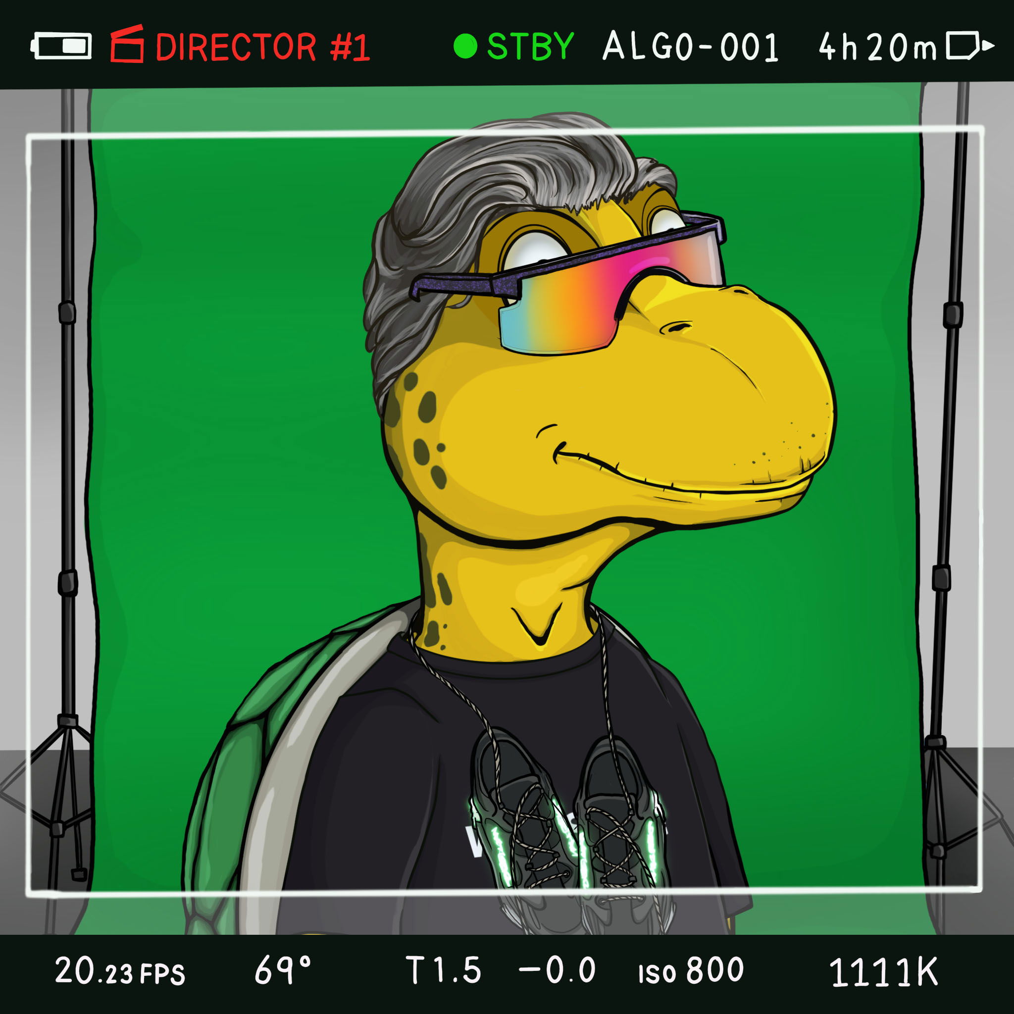 Coopa Troopa #1964 NFT on Algorand