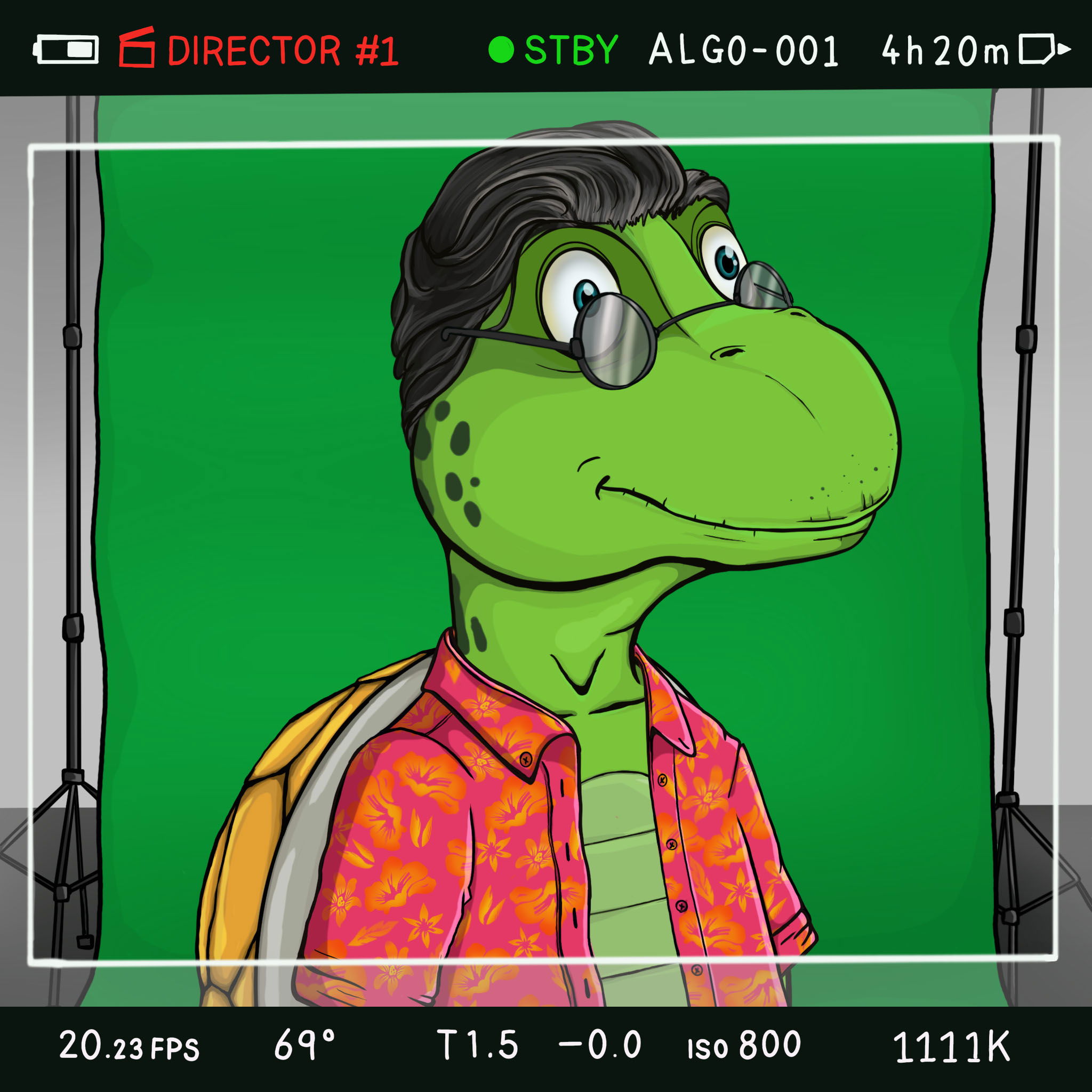 Coopa Troopa #1972 NFT on Algorand