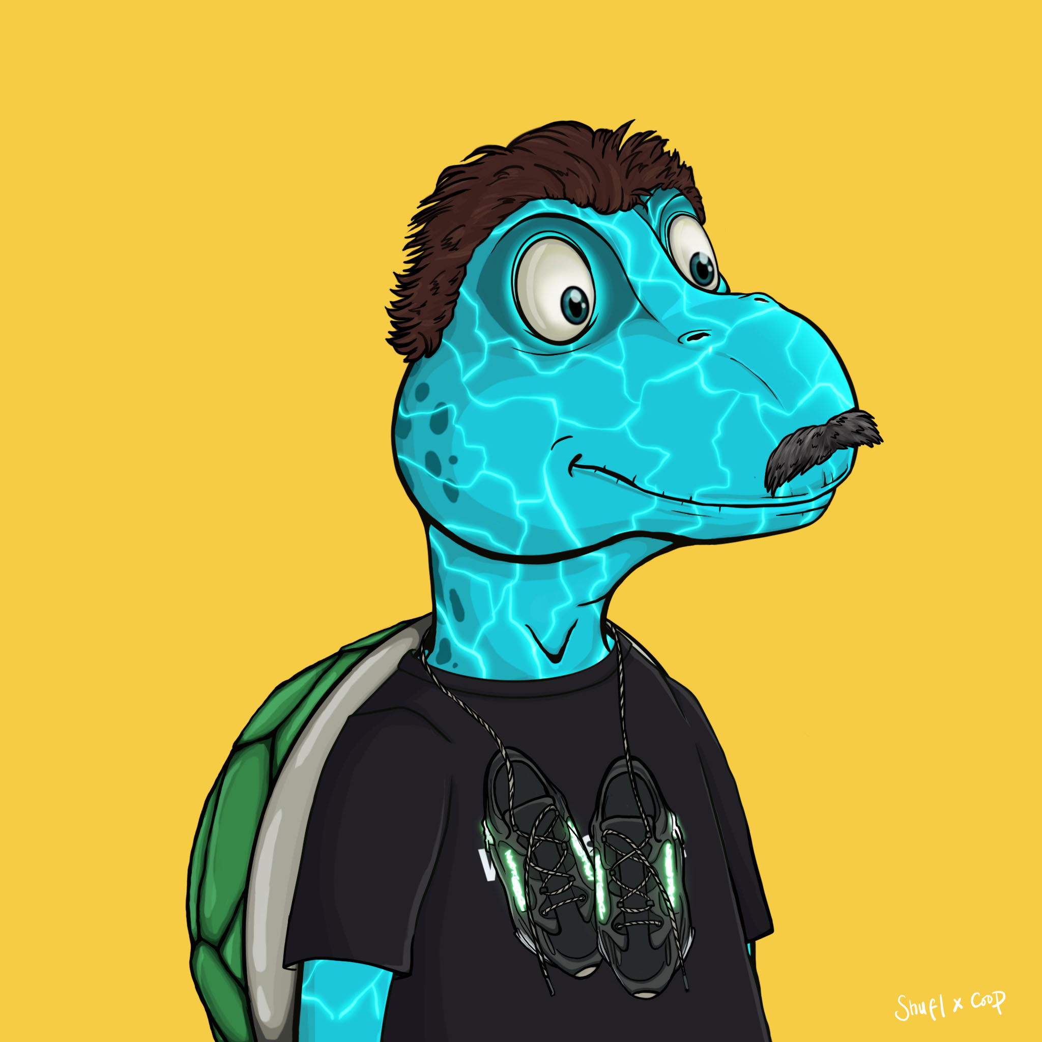 Coopa Troopa #1978 NFT on Algorand